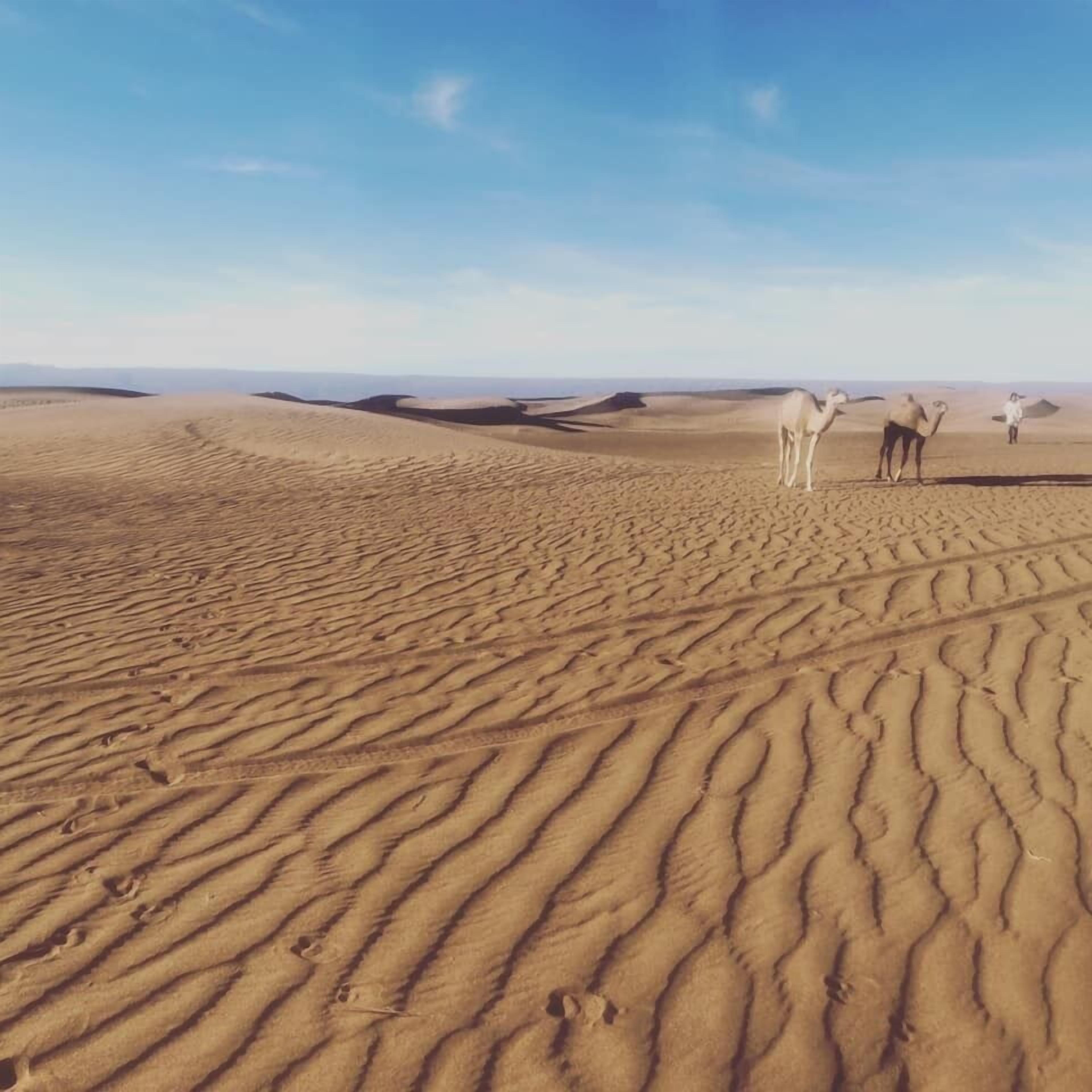 Bivouac Joudour Sahara