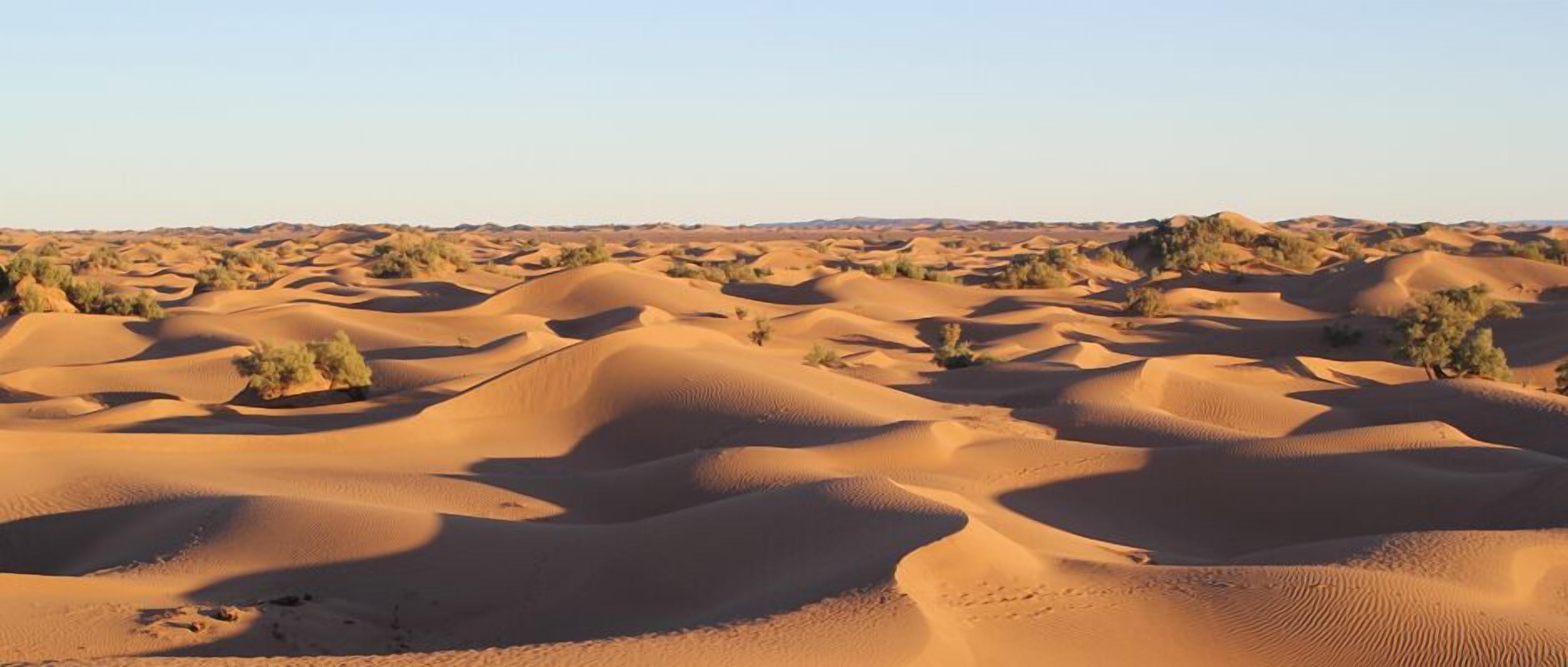 Bivouac Joudour Sahara