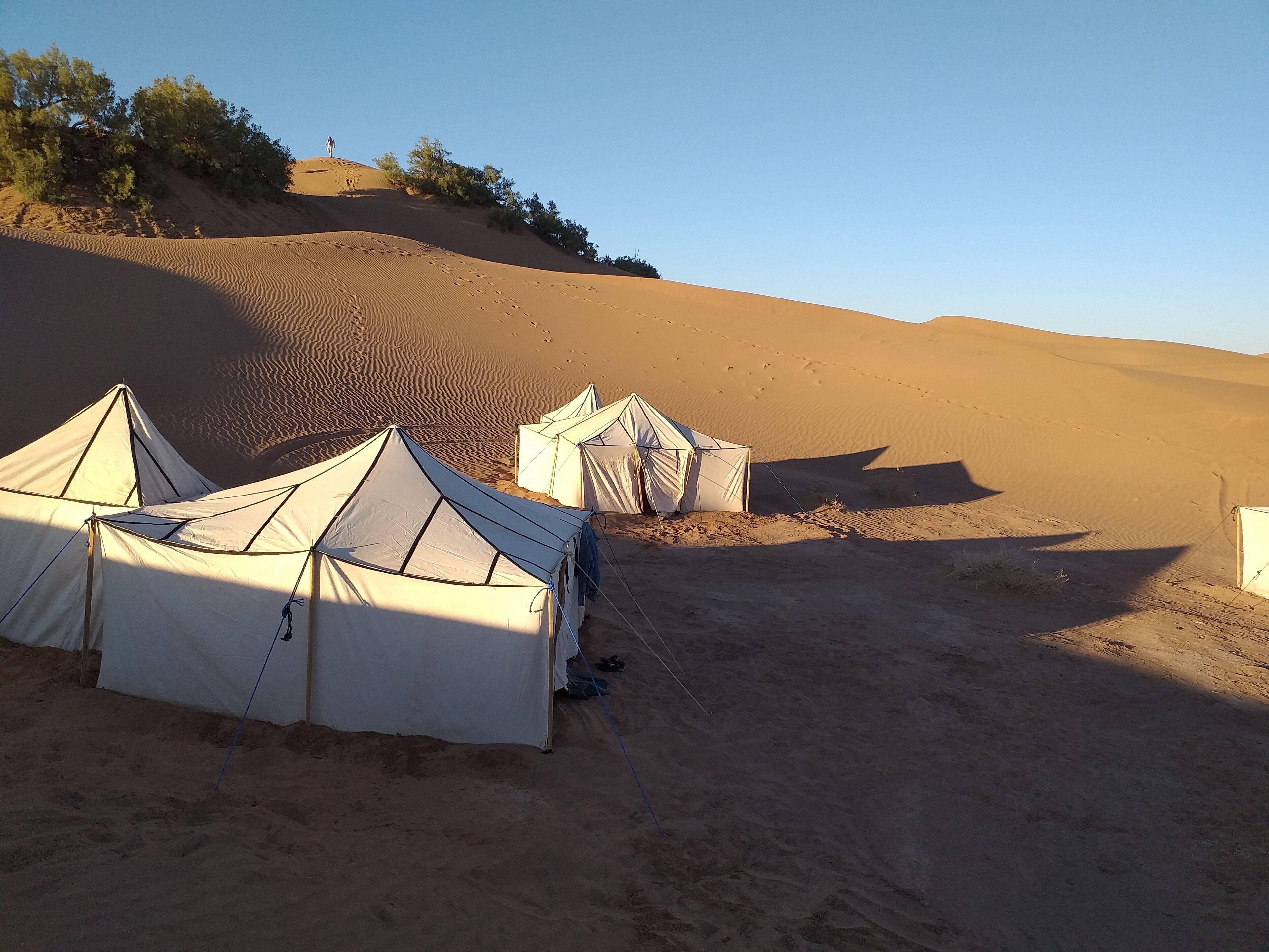 Bivouac Joudour Sahara