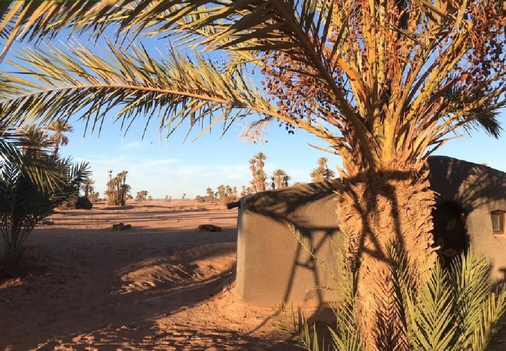 Camp Sahara Majestic
