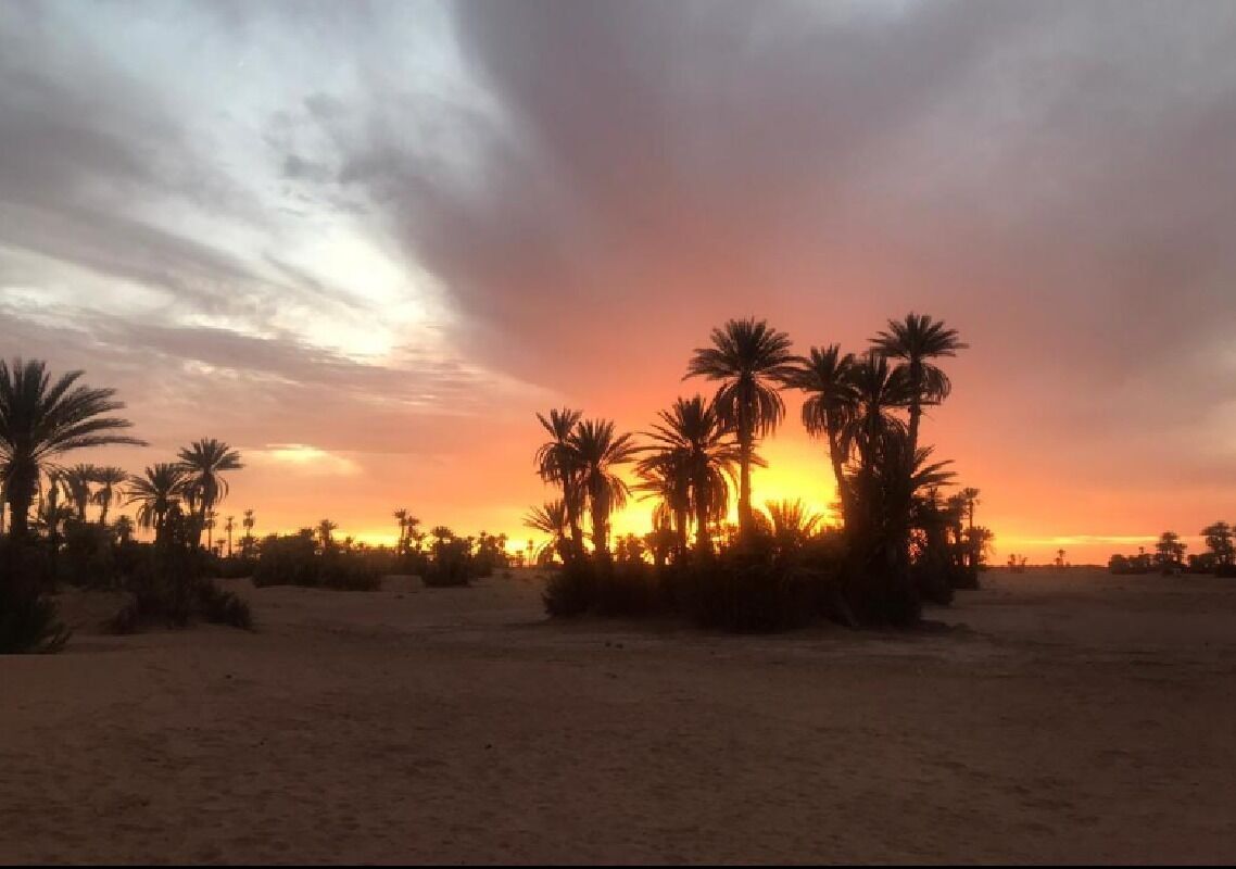 Camp Sahara Majestic