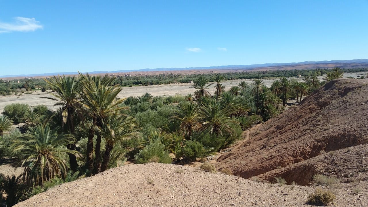 Dar Panorama