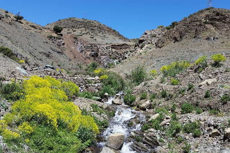 Dar Tassa