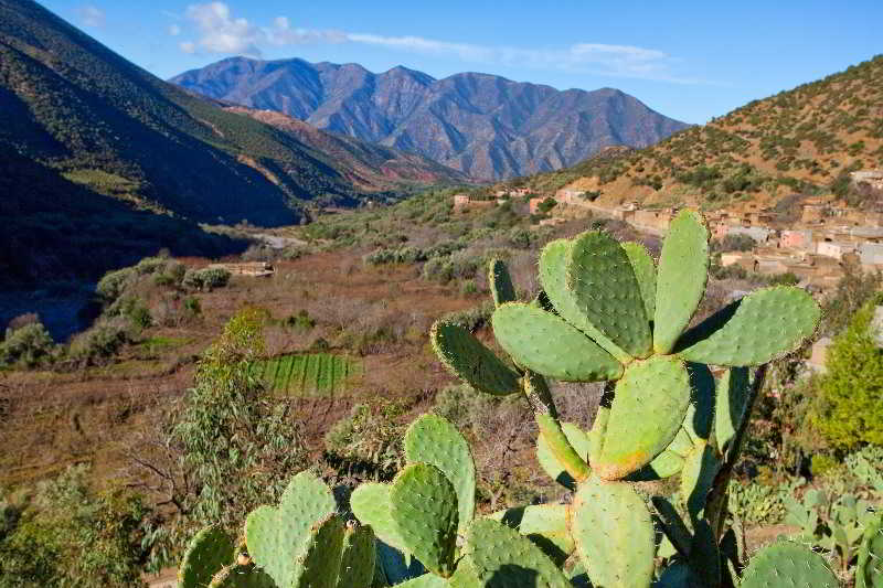 Dar Tassa