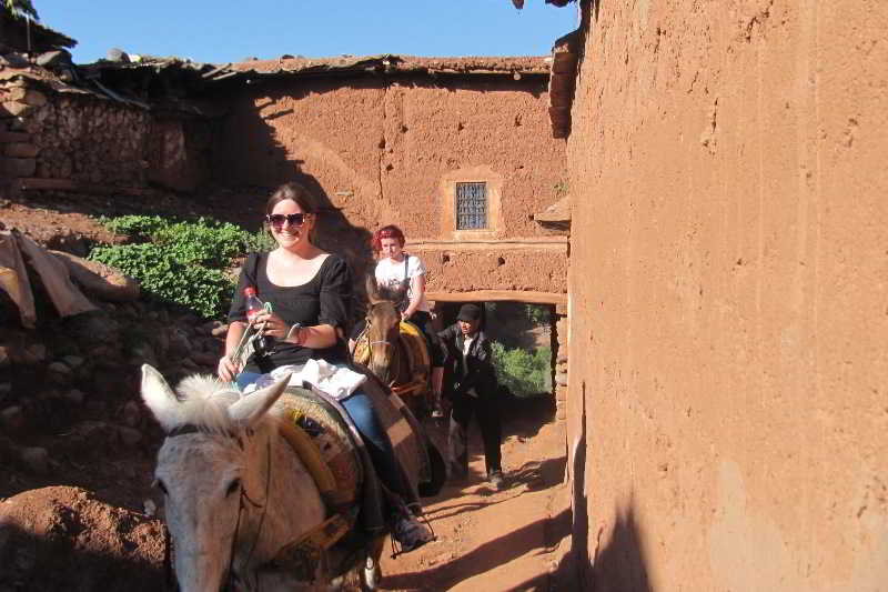 Dar Tassa