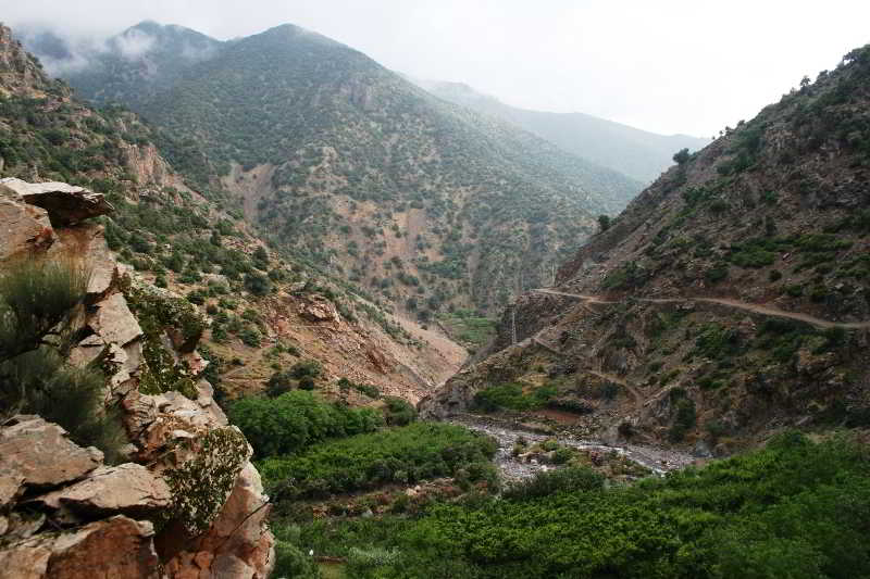 Dar Tassa