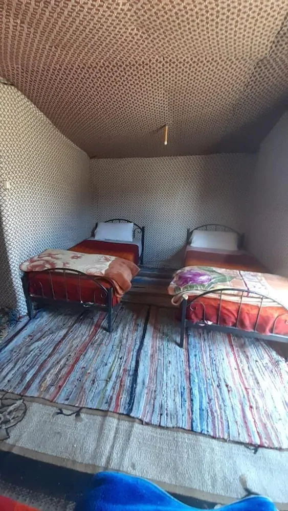 Desert Queen Camp