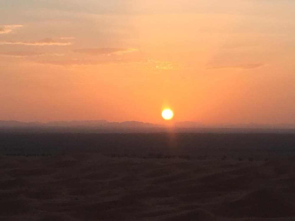 Desert Queen Camp