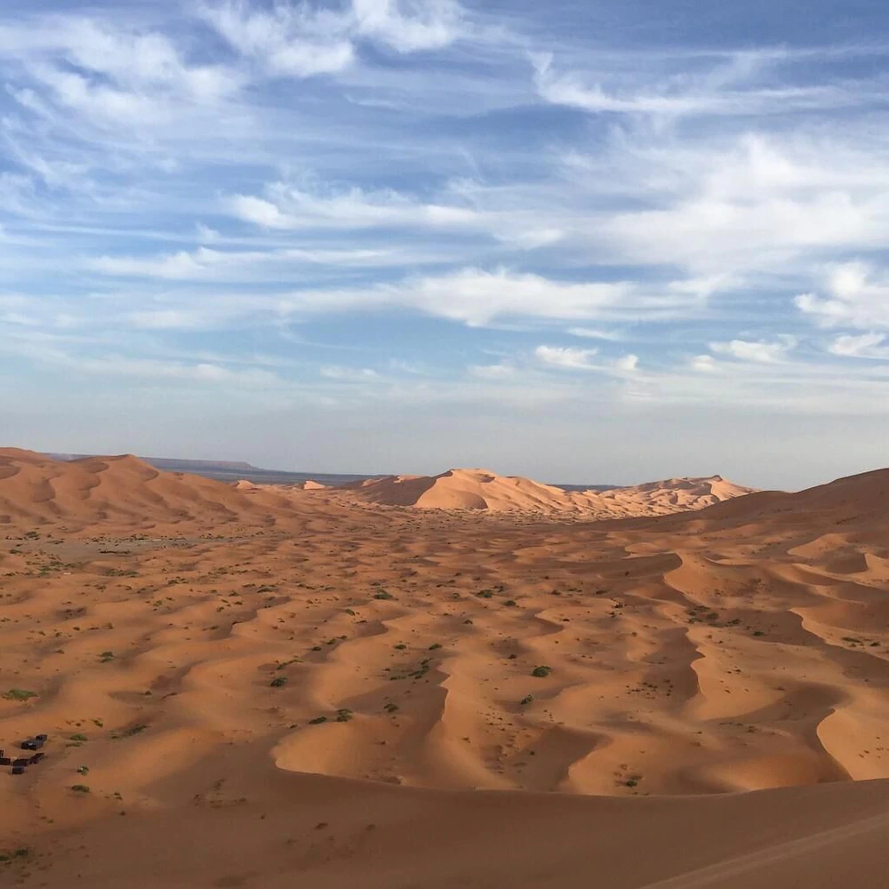Desert Queen Camp