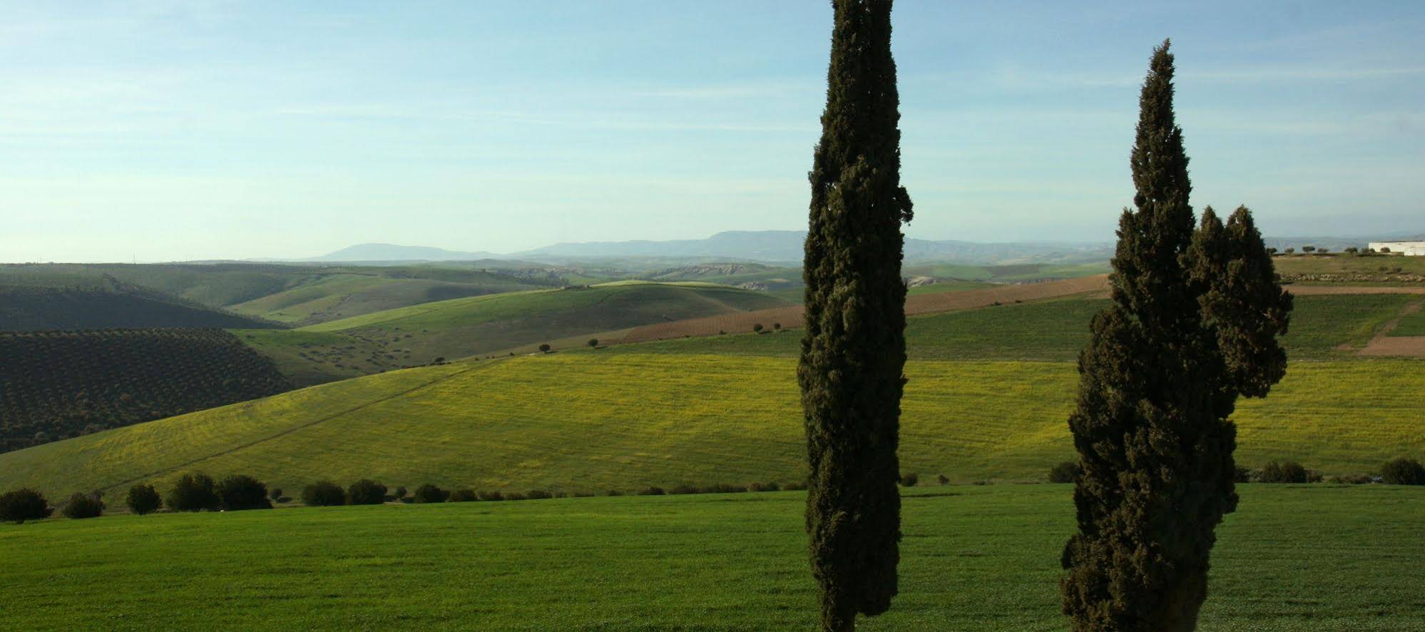 Terre De Traces