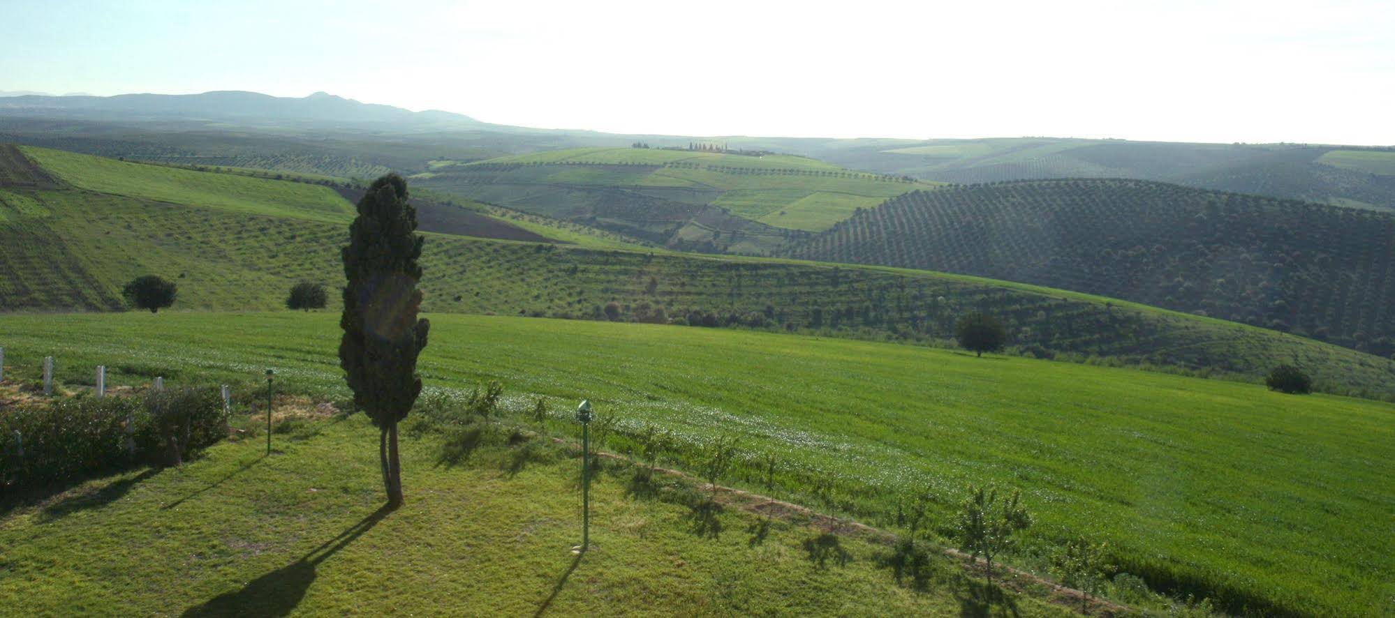 Terre De Traces