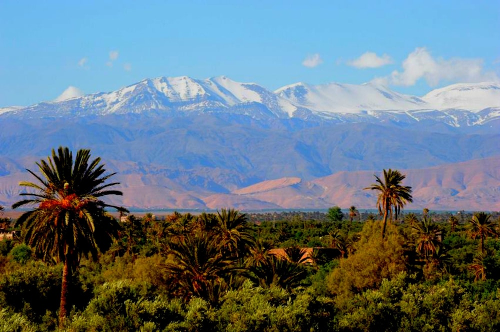 Aramja Luxury Camp