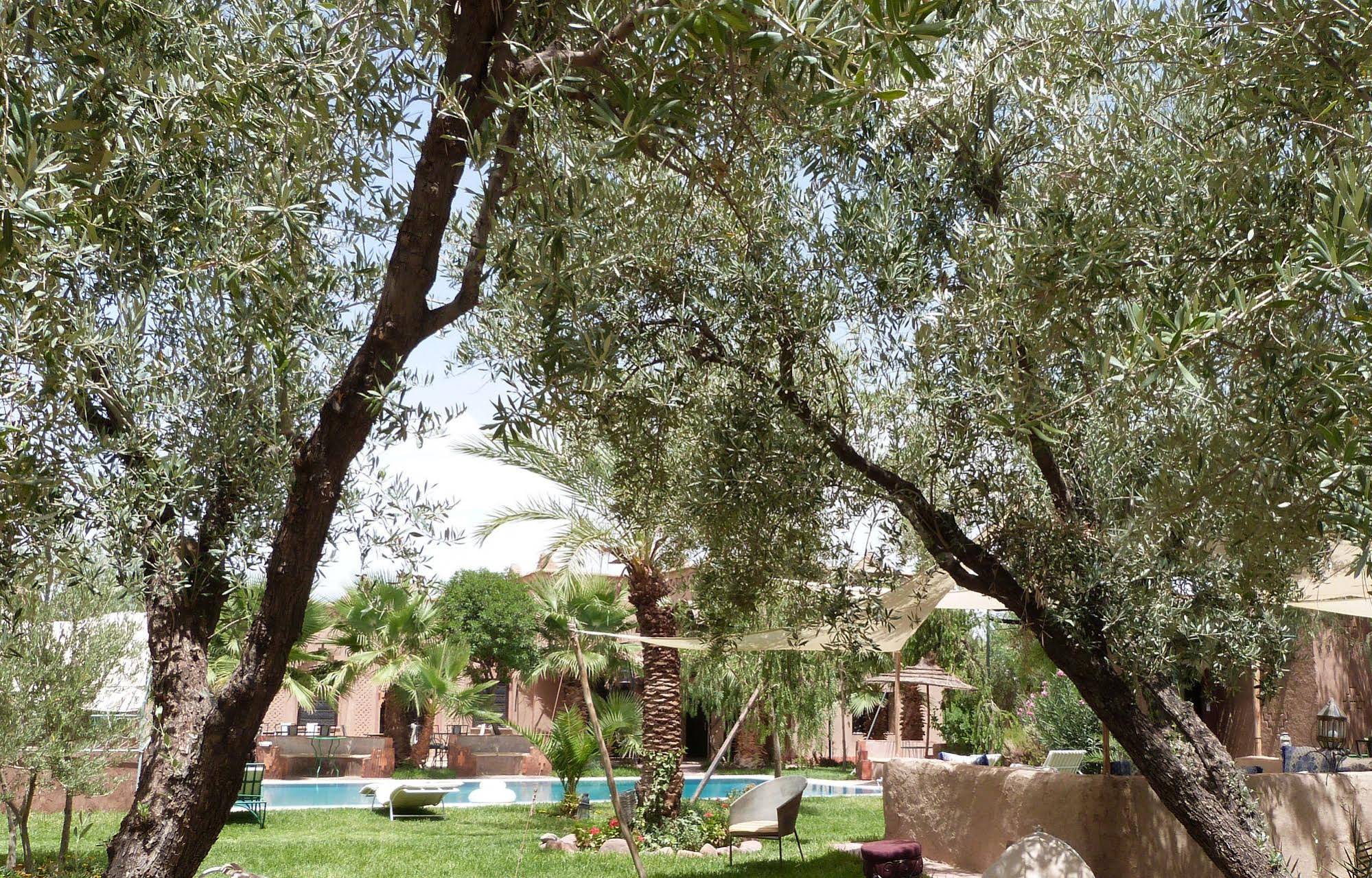 Sawadi Ecolodge