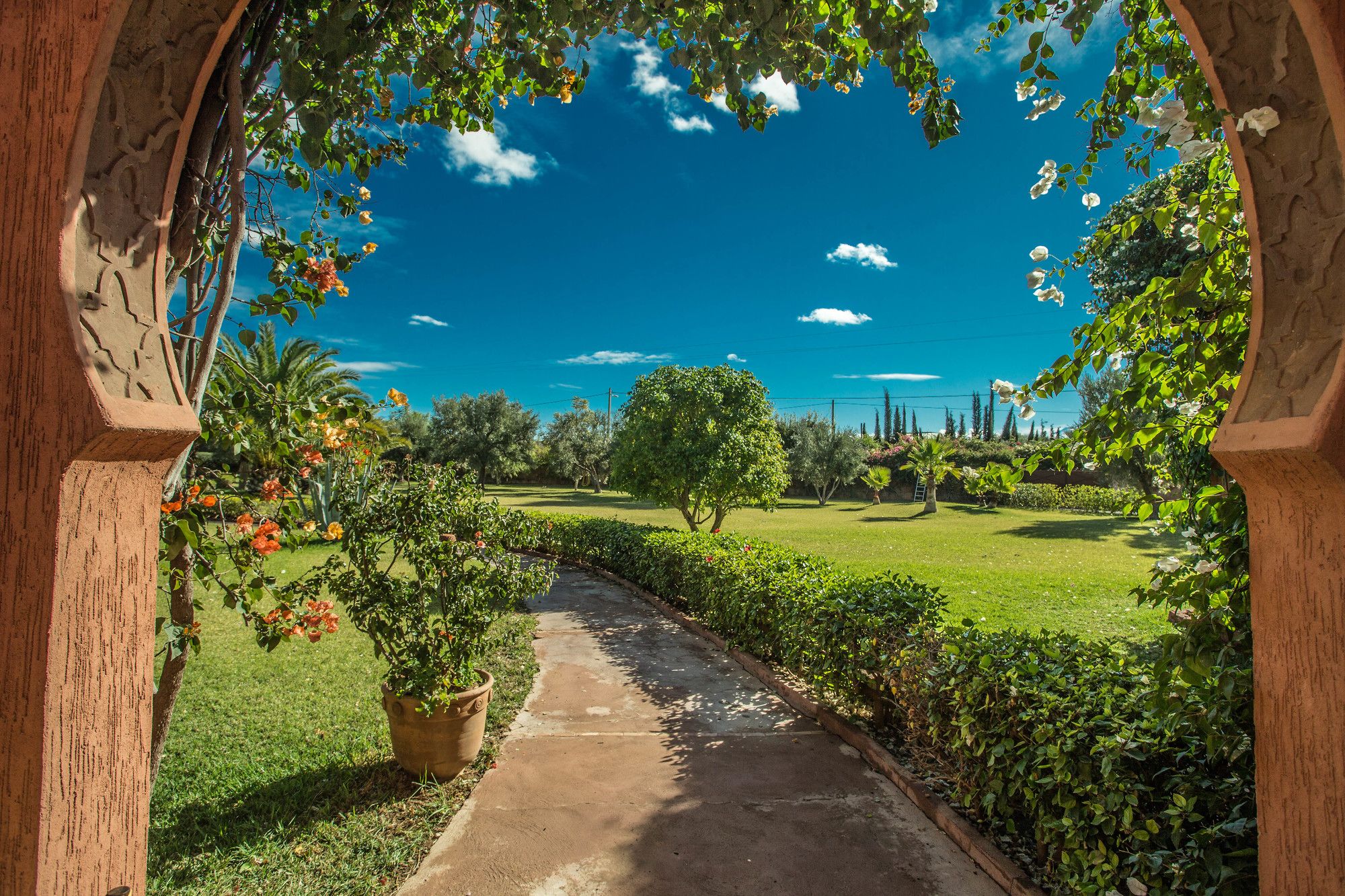 Villa Les Oliviers