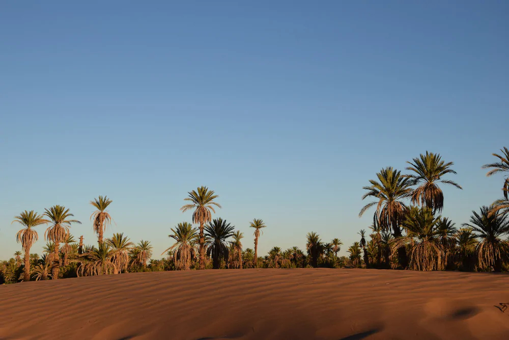 Carrefour Des Nomades