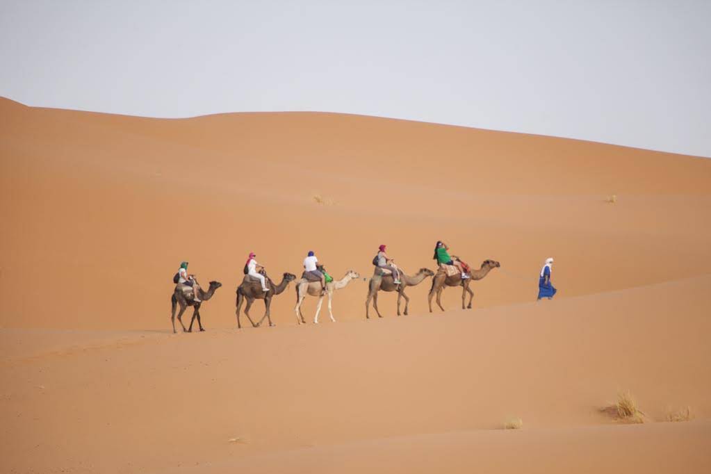 Riad Dar Sofian