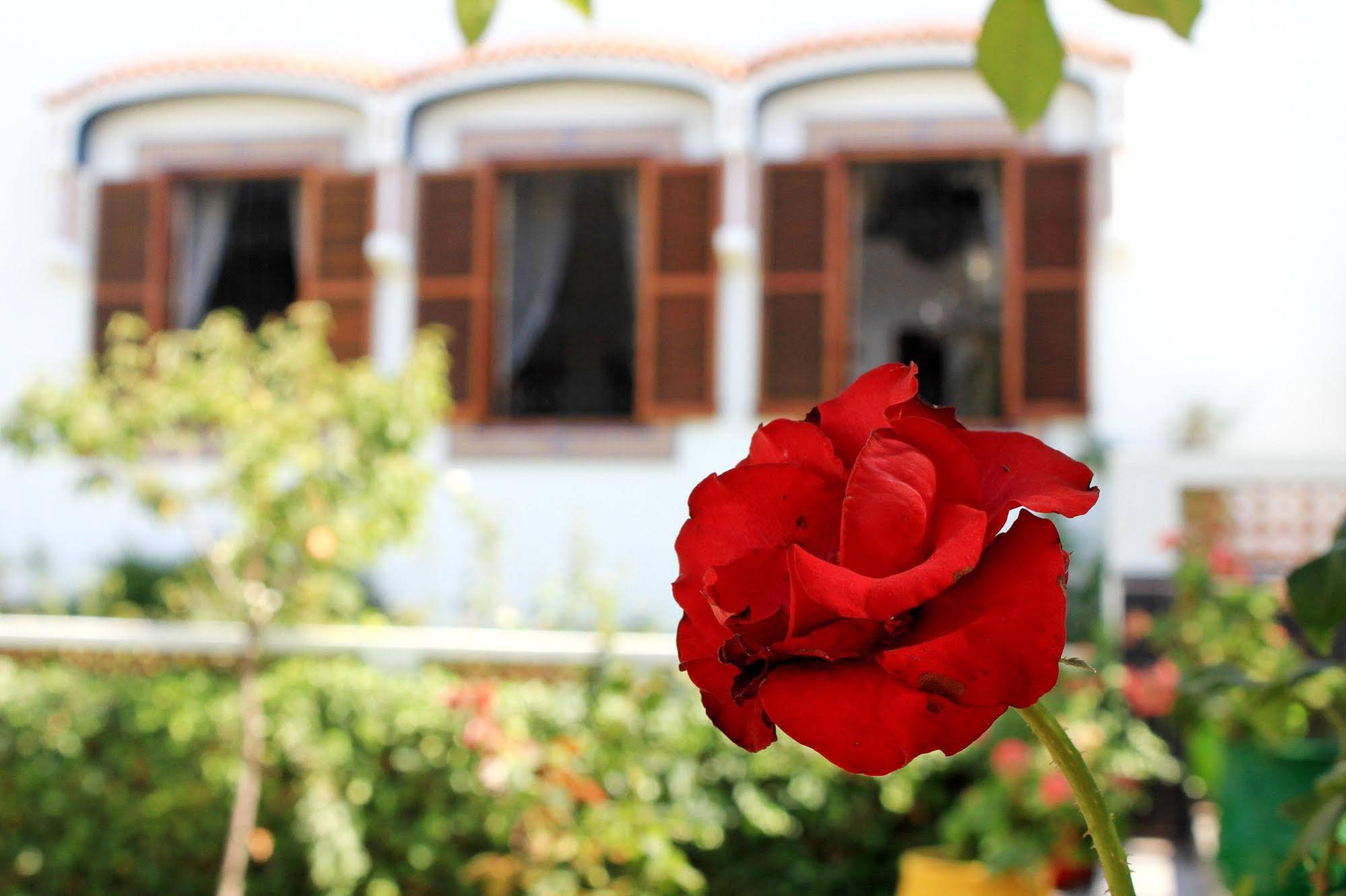 Riad Dar Achaach