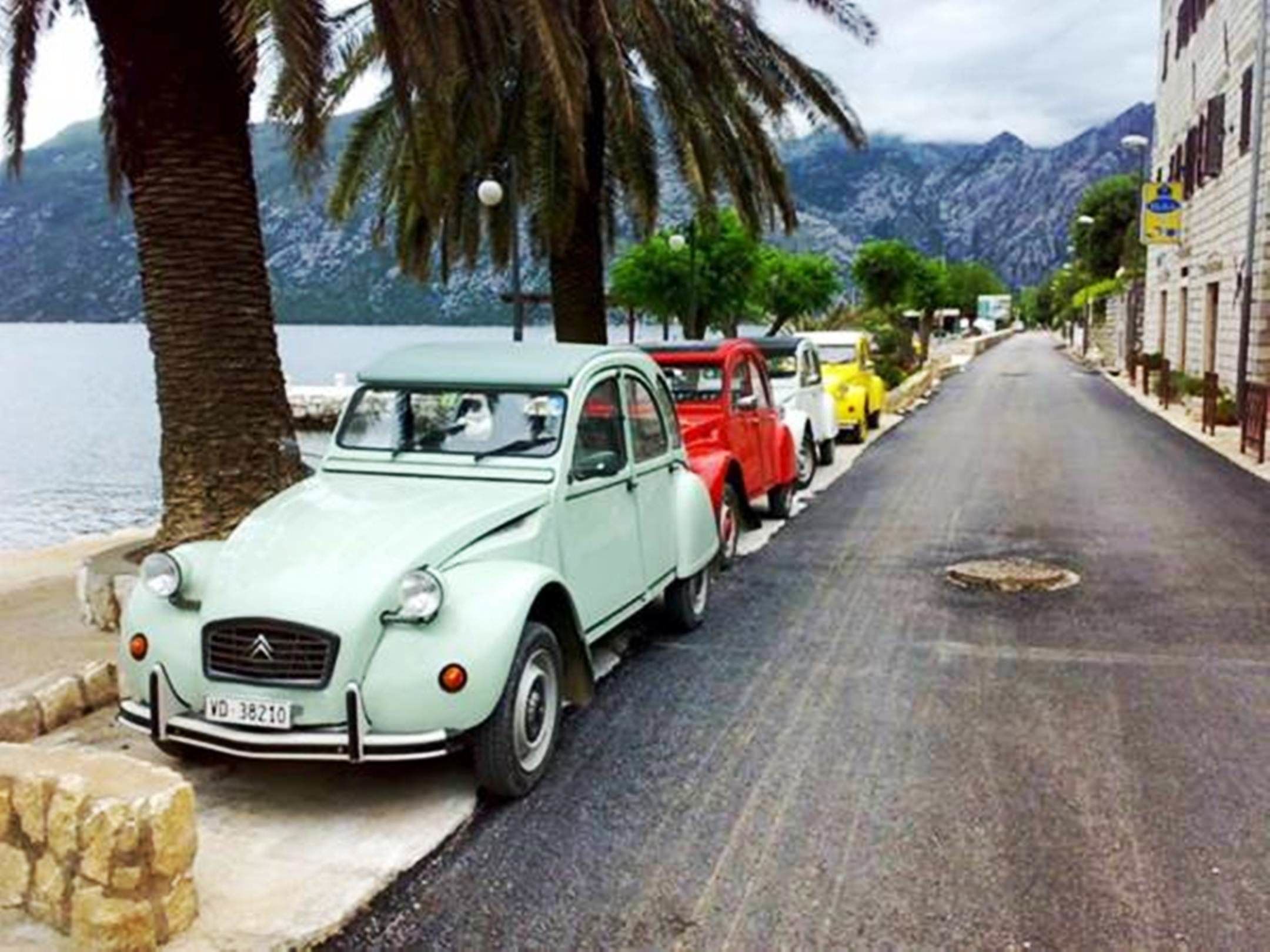 Pansion Pana Kotor