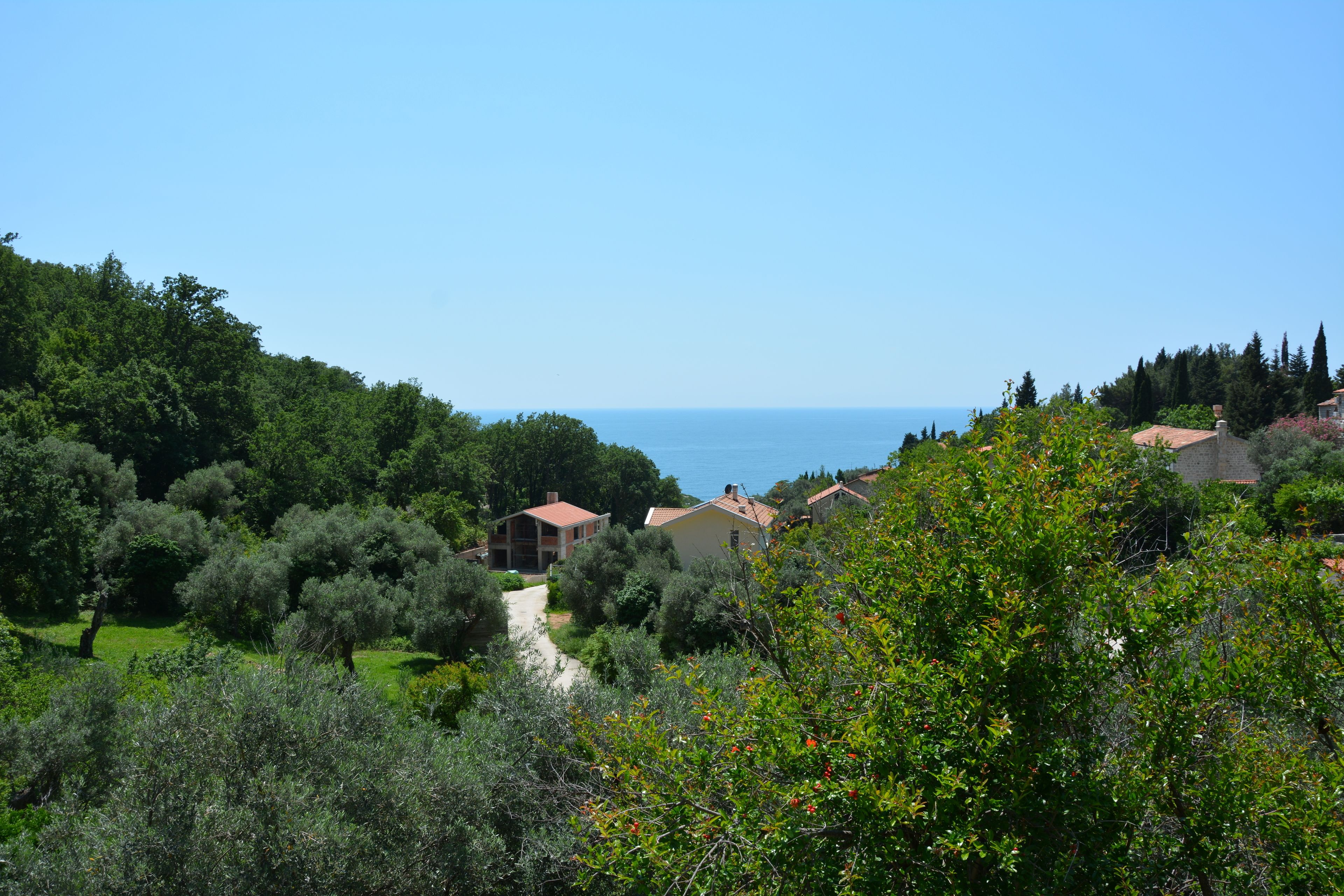 Apartments Djedovic