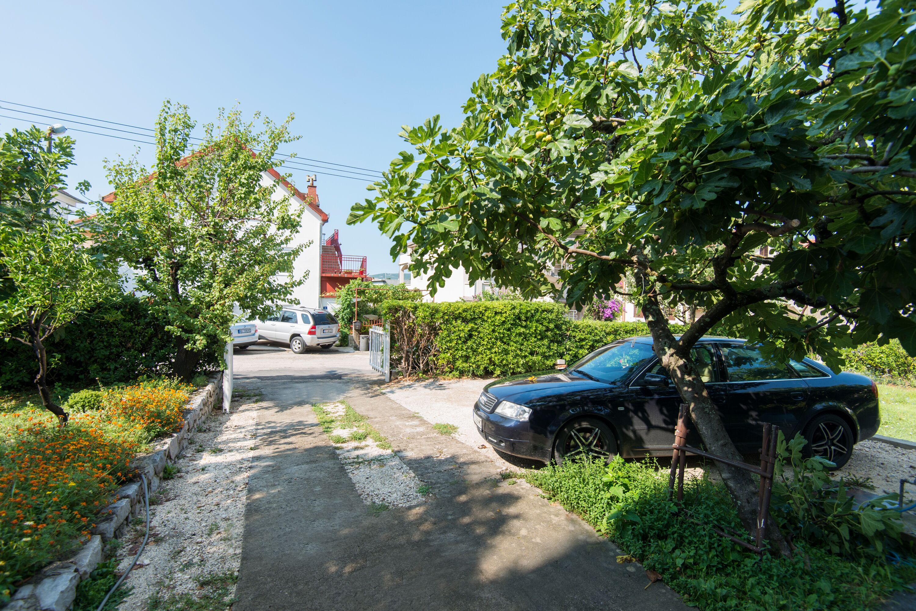 Branka Apartments
