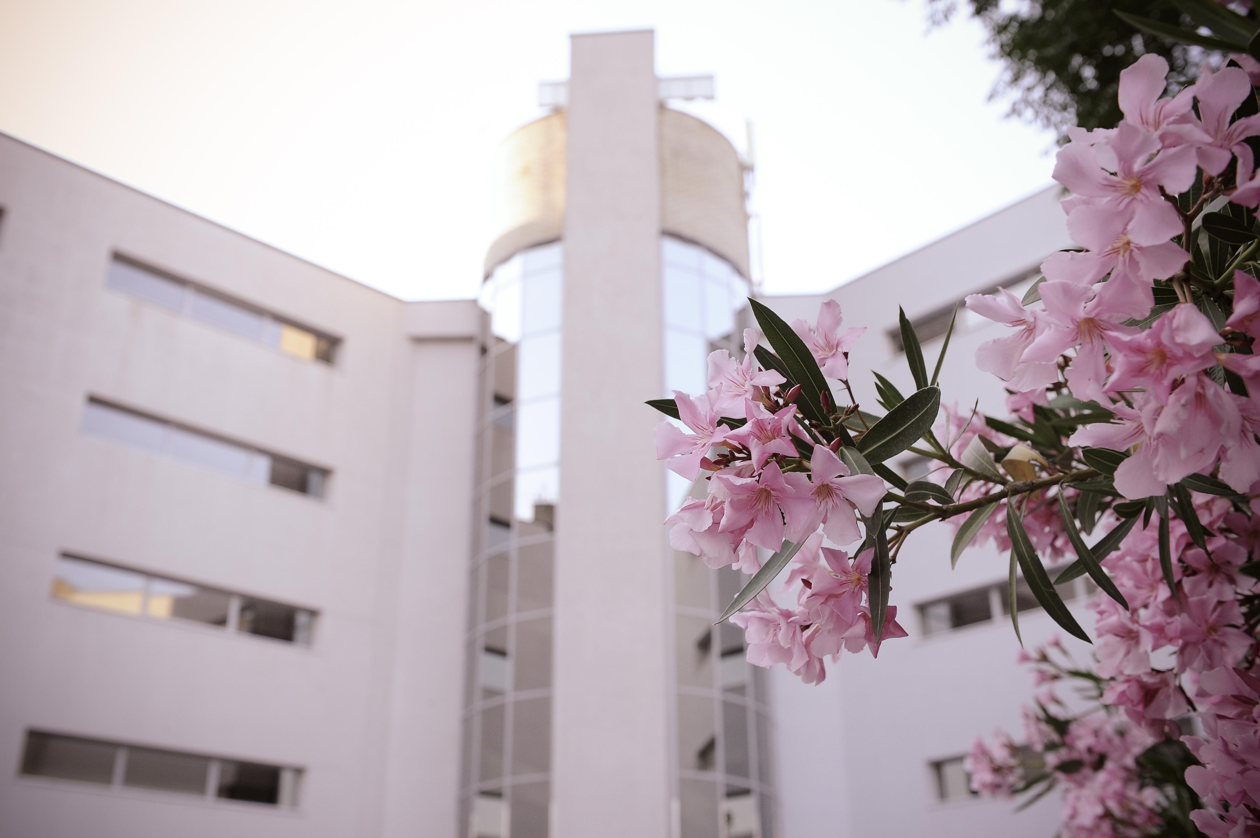 Hotel City
