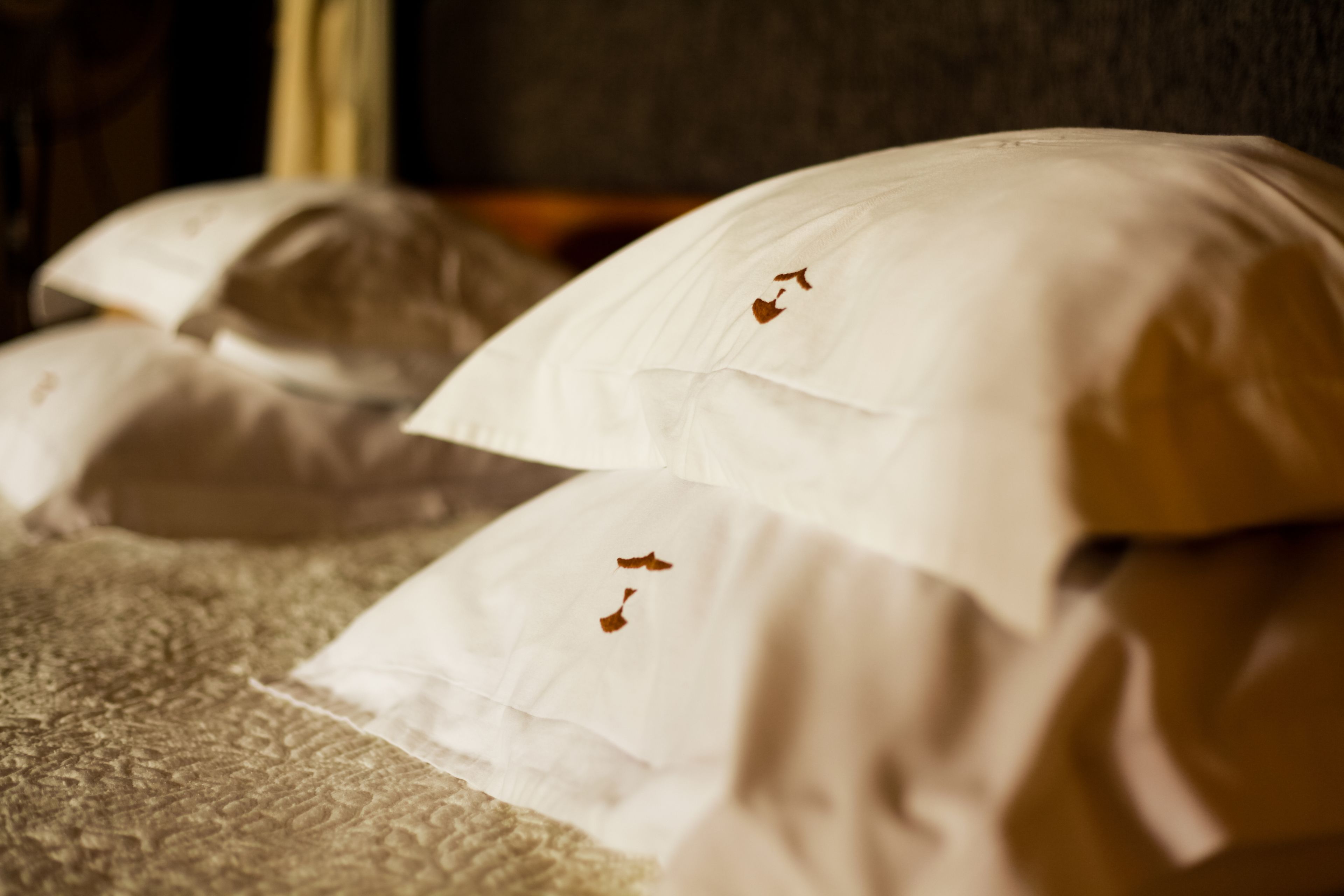 Les 3 Metis Guesthouse