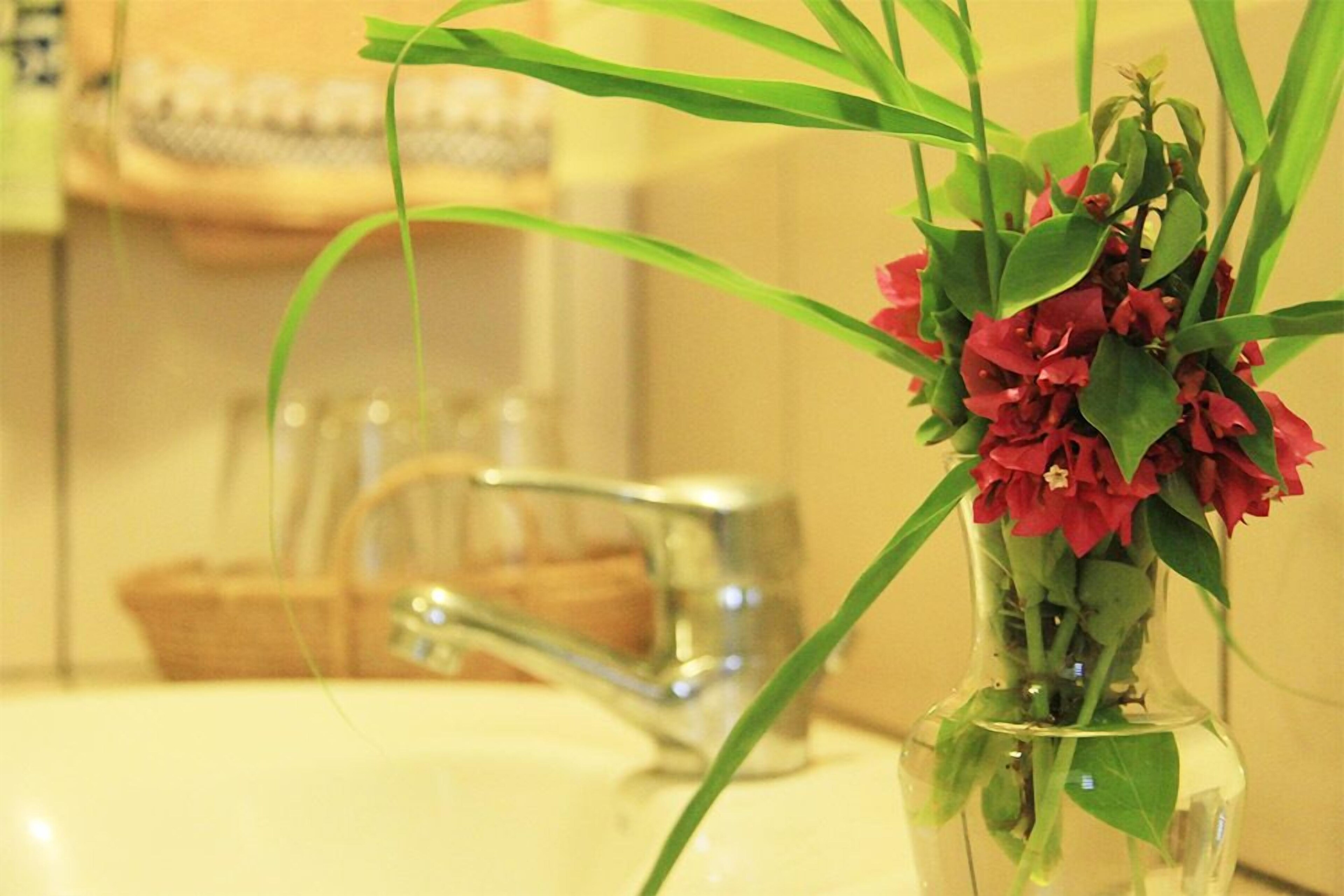 Hôtel Solidaire Mangily