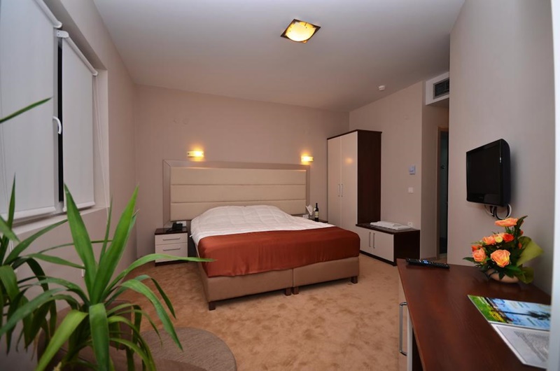 Hotel Lebed