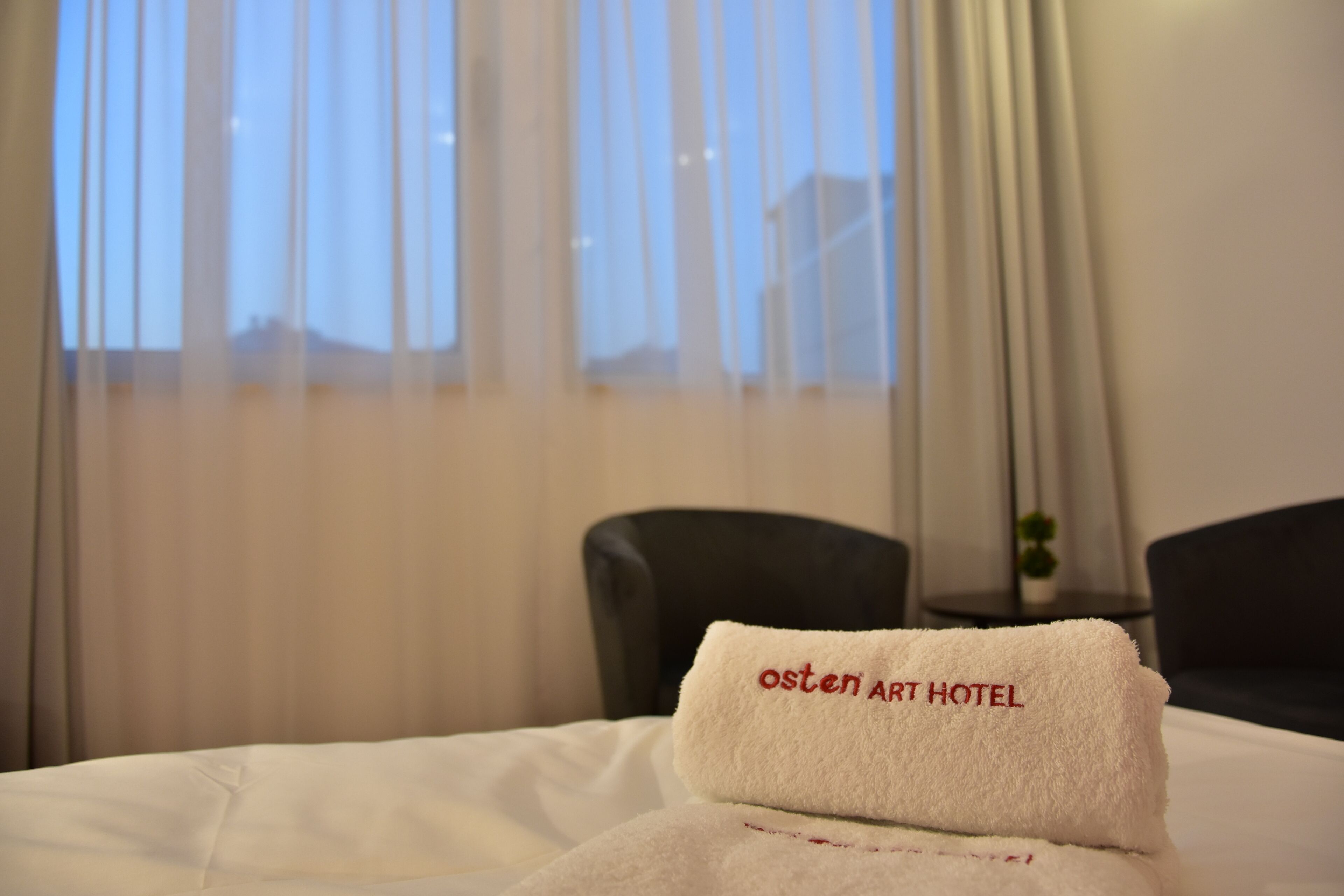 Osten Art Hotel