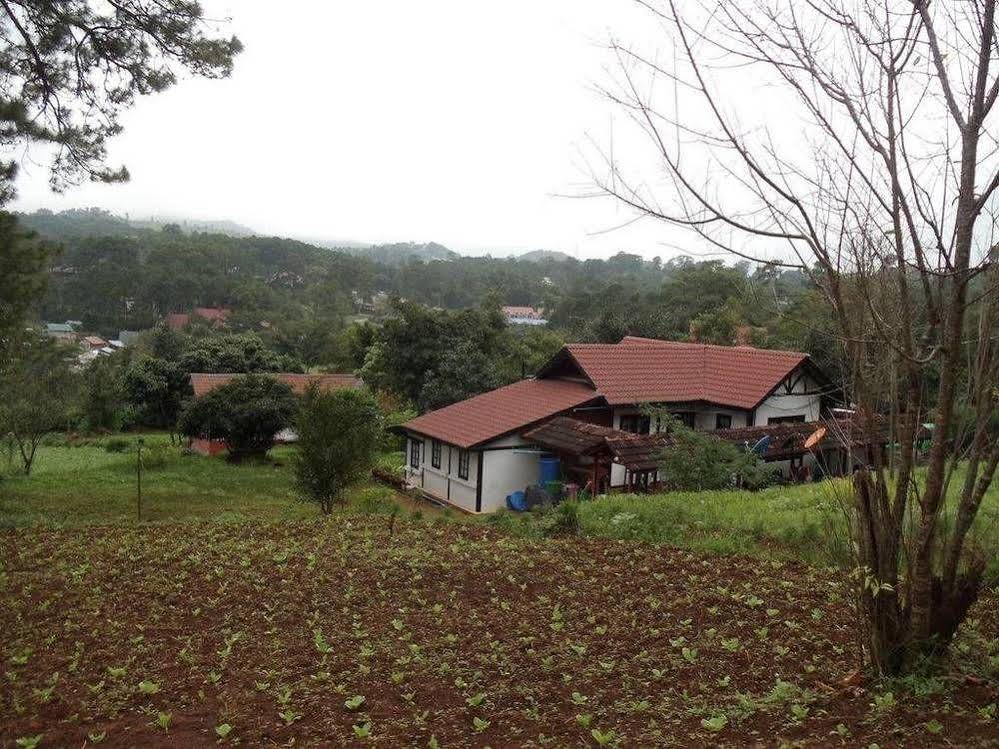 Morning Glory Inn