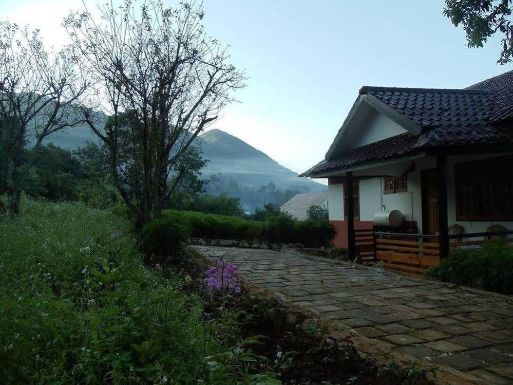 Morning Glory Inn