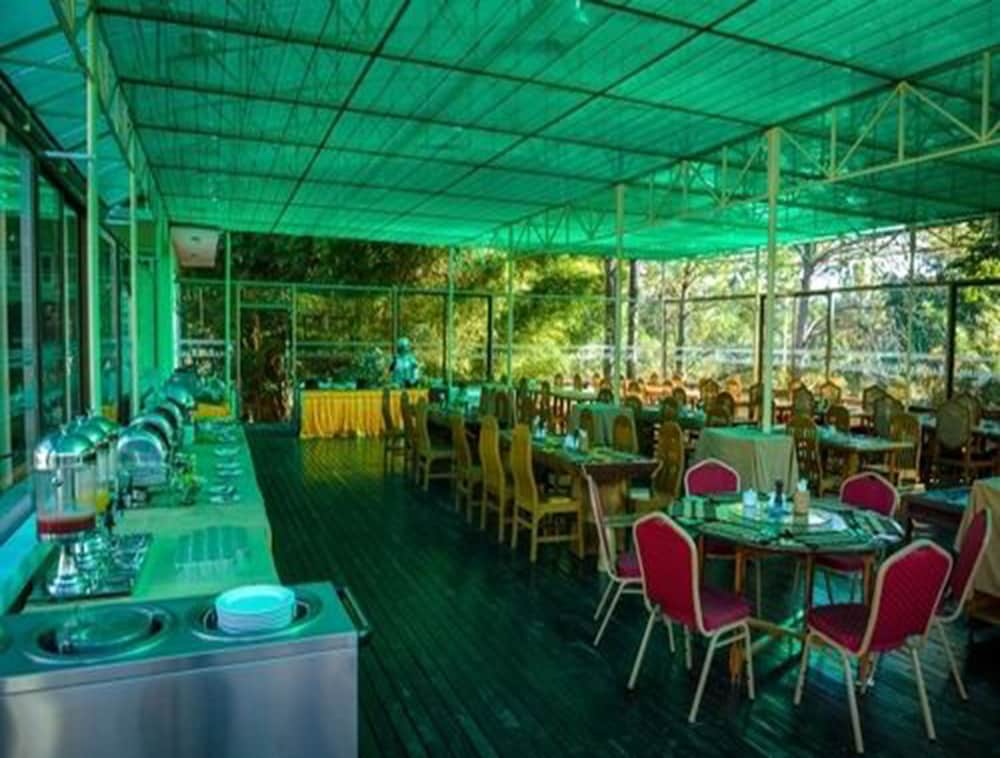 Pine Hill Resort