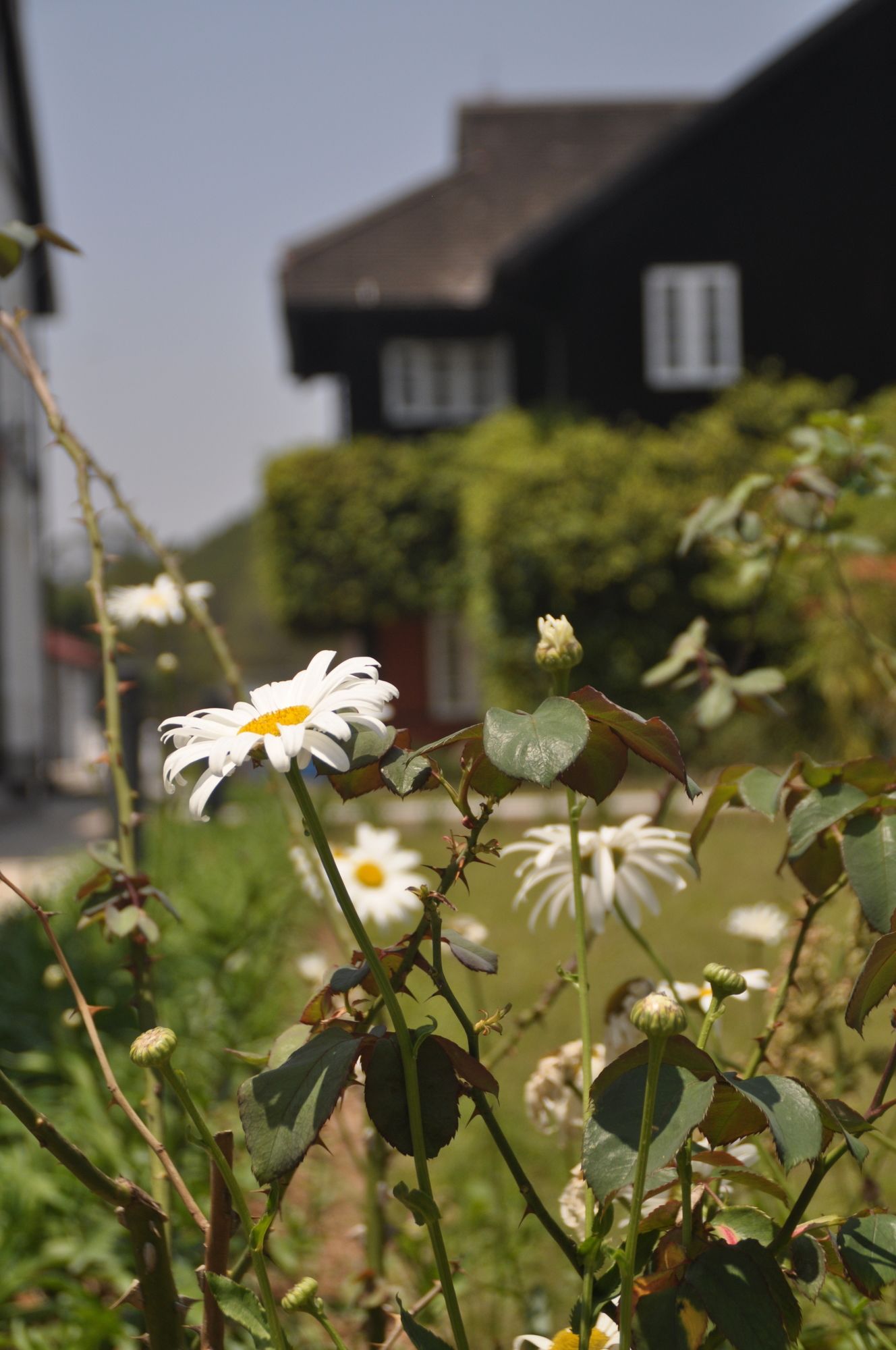 The Kalaw Heritage Hotel