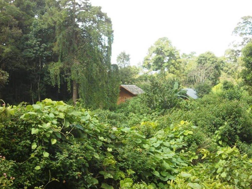 Thitaw Lay House B&B