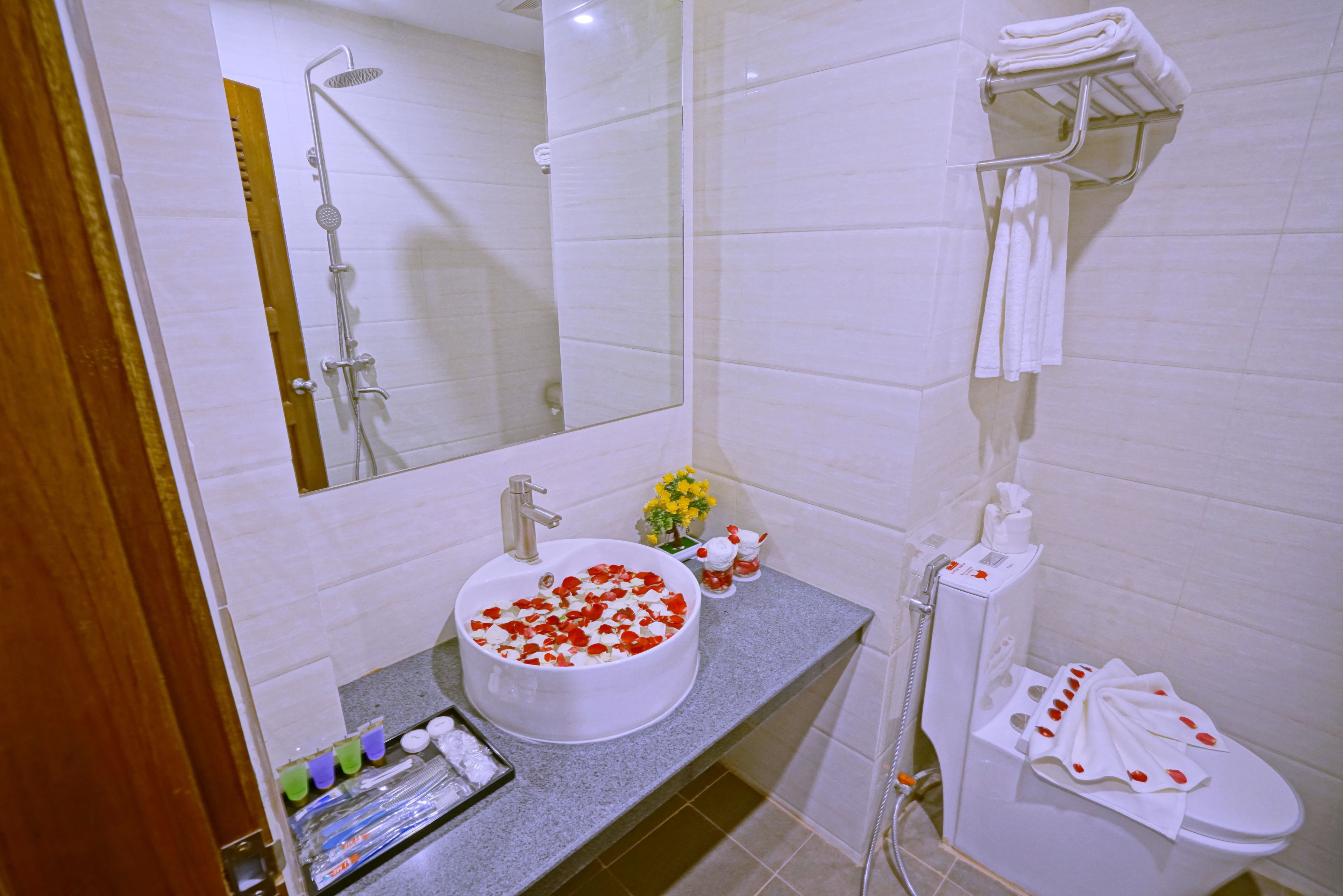 Hotel Duo Swan
