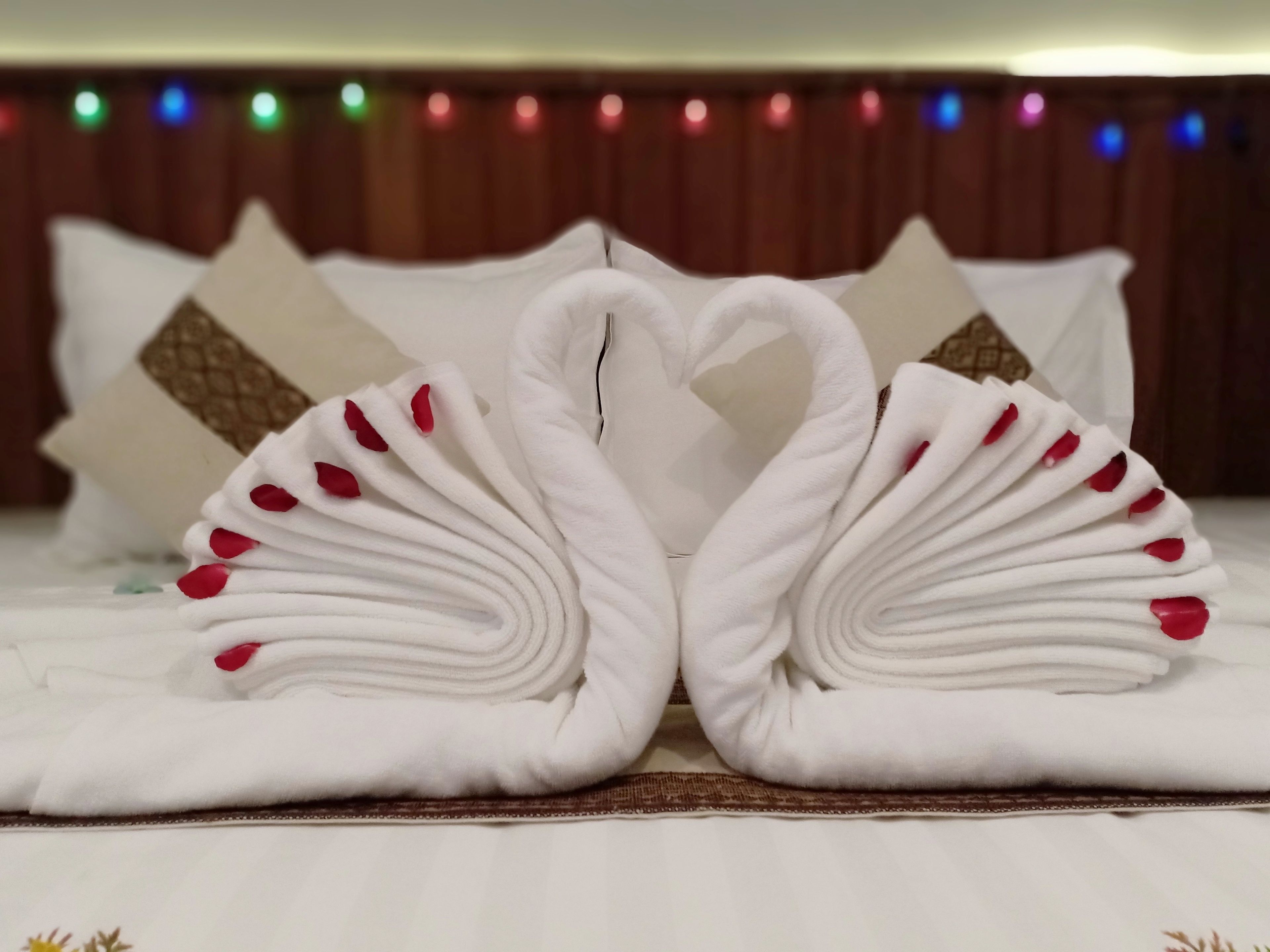Hotel Duo Swan
