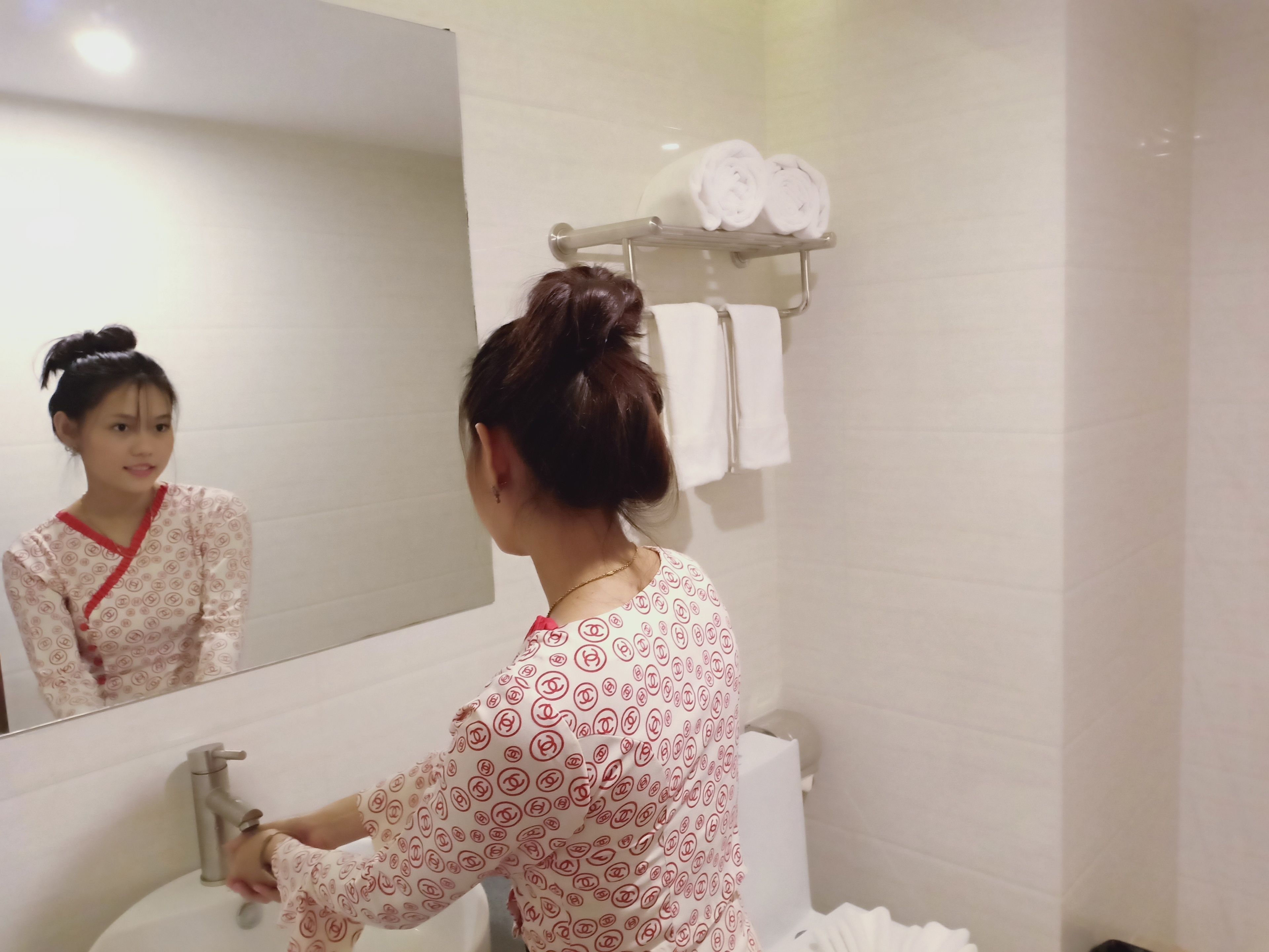 Hotel Duo Swan