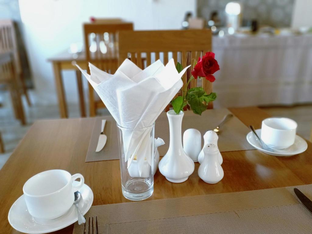 Hotel Duo Swan