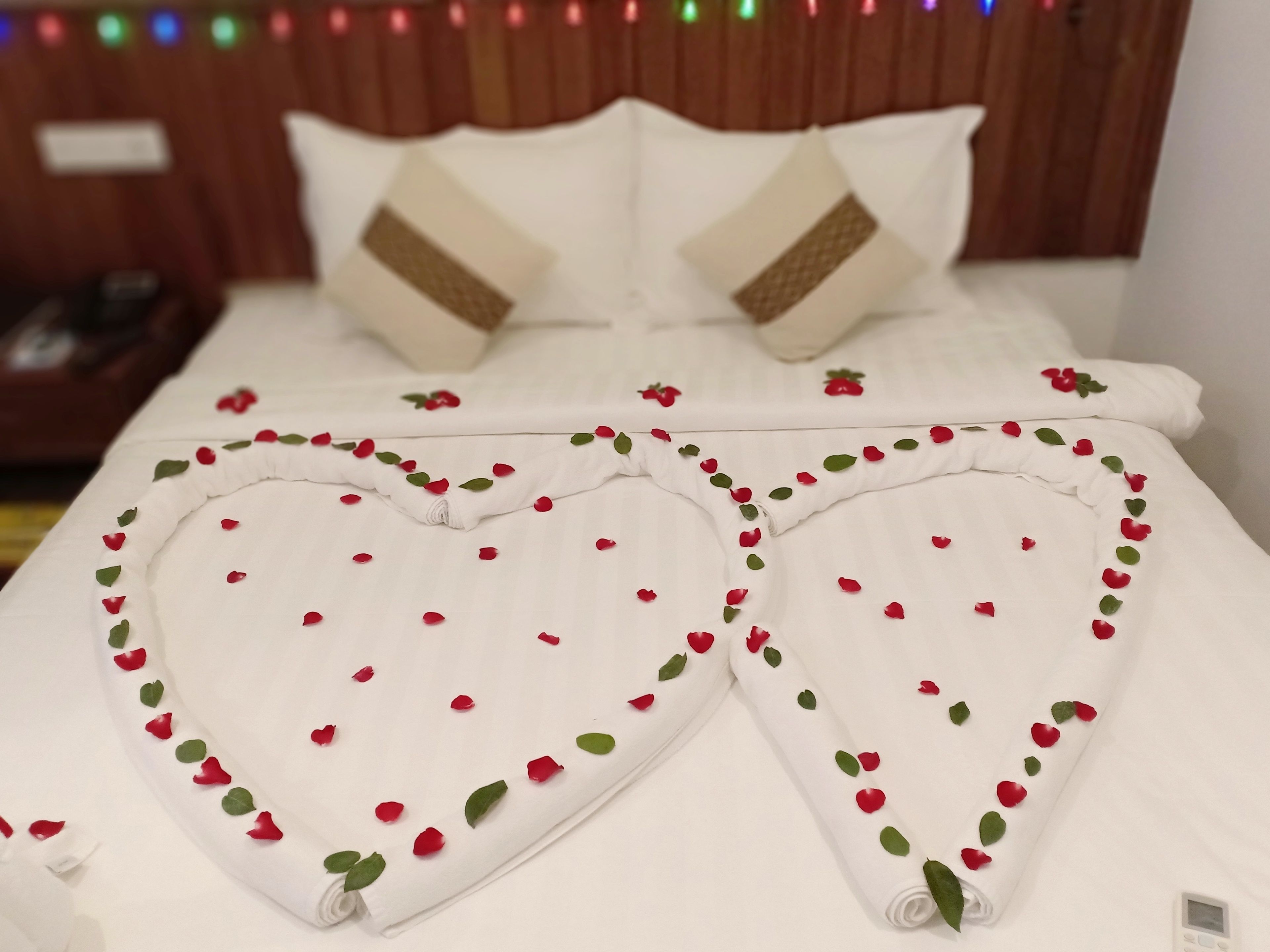 Hotel Duo Swan