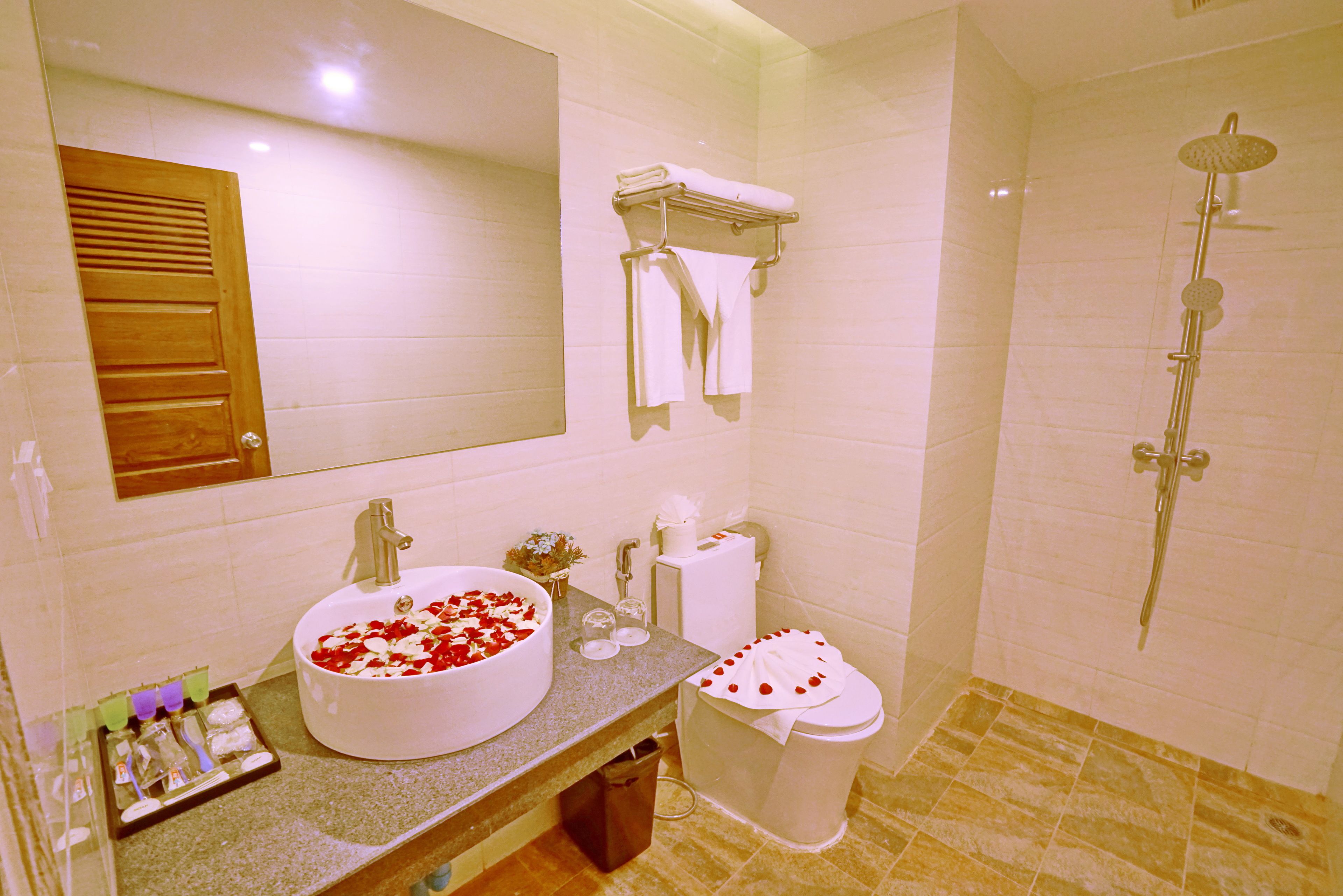 Hotel Duo Swan