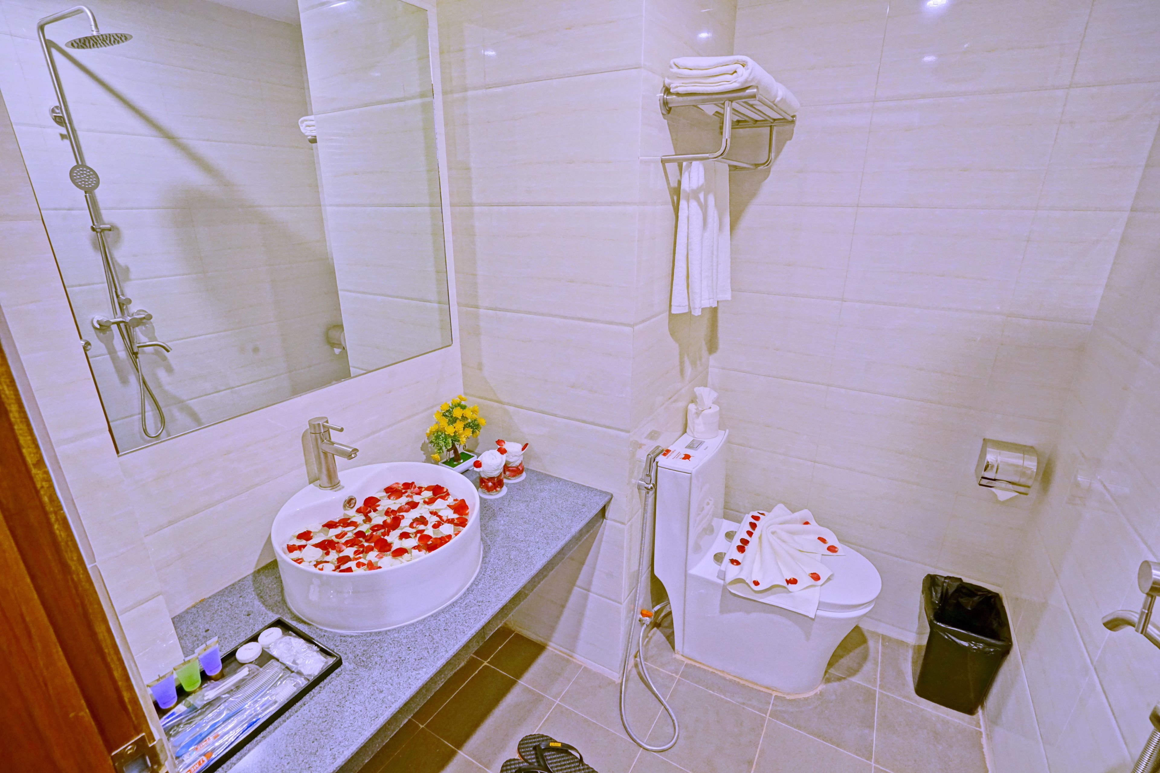 Hotel Duo Swan