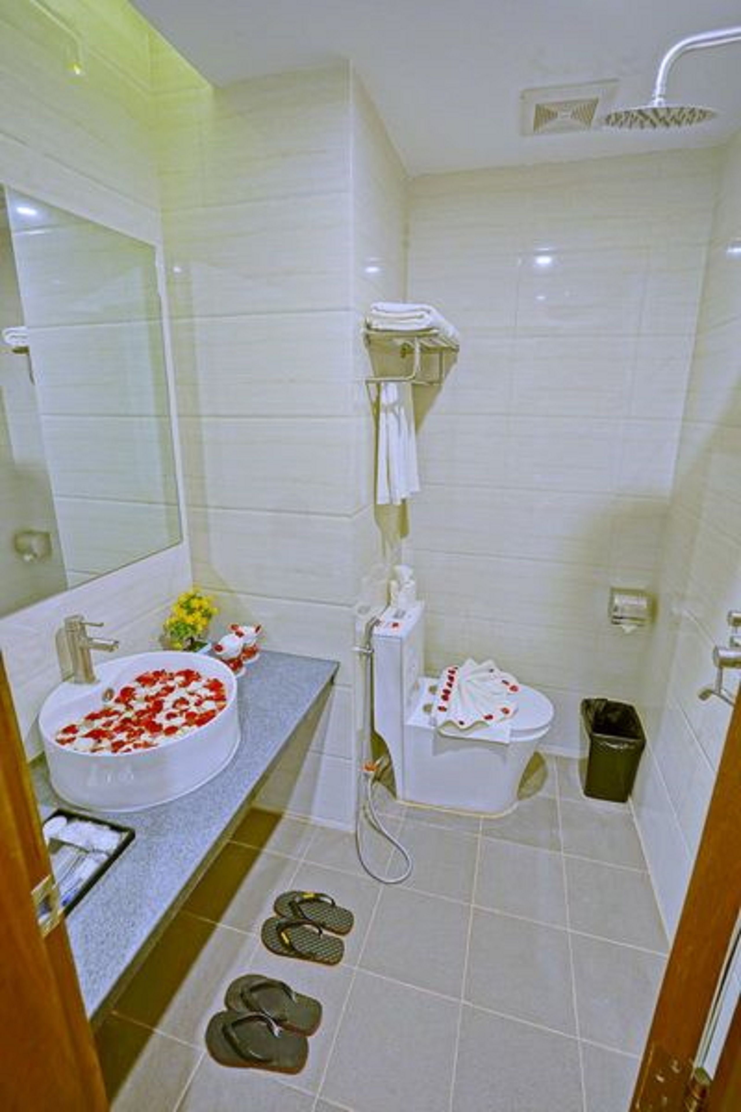 Hotel Duo Swan