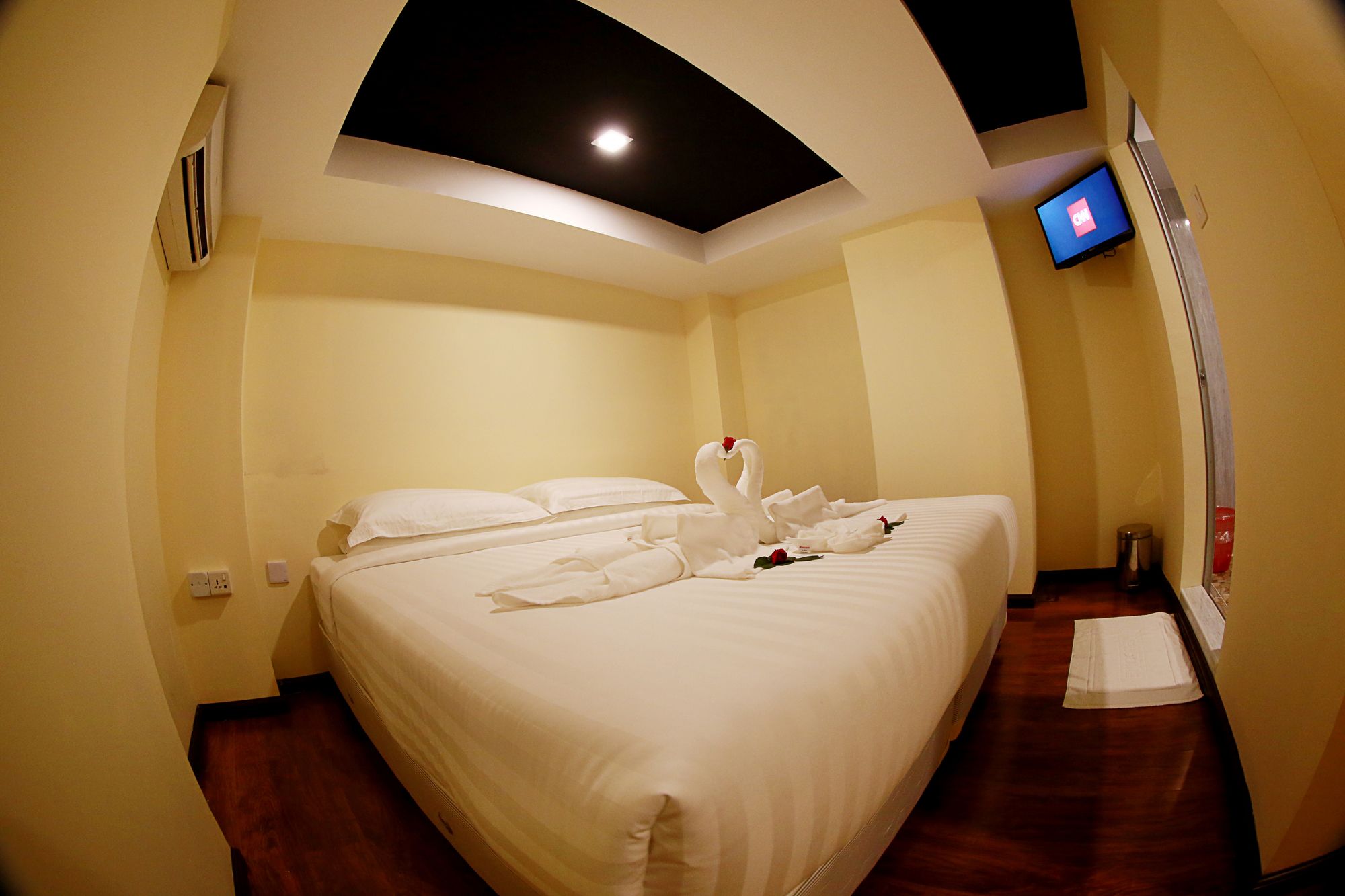 Backpacker Bed and Breakfast