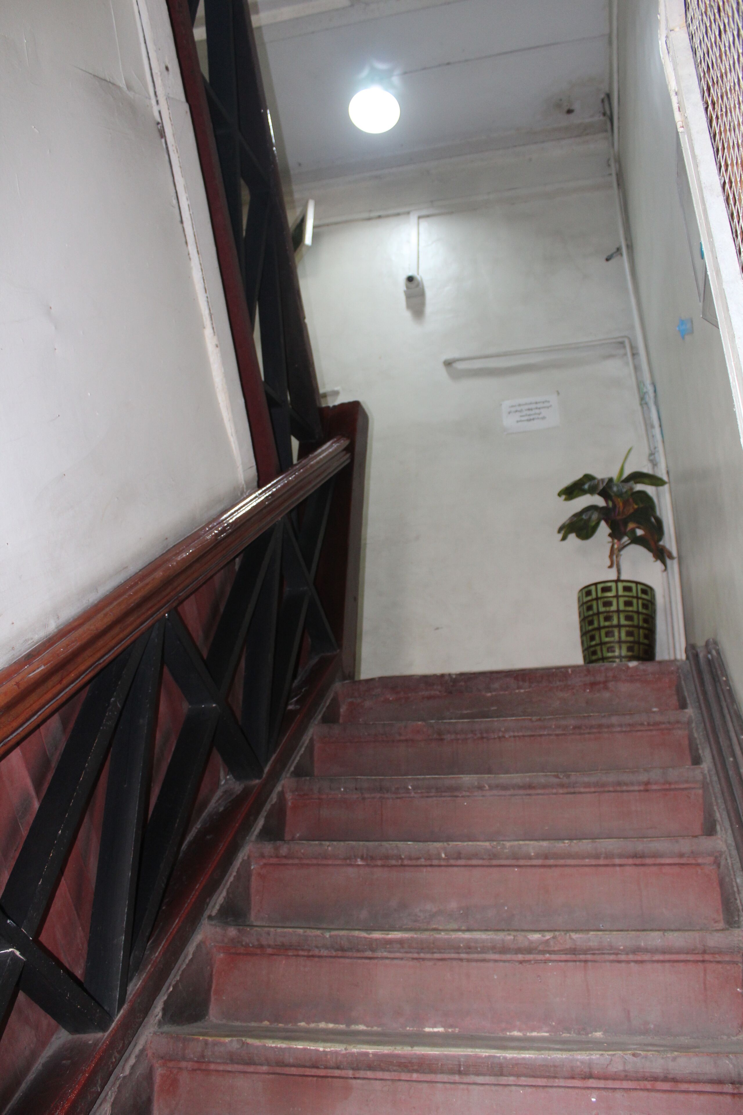 Lotus Bed & Breakfast