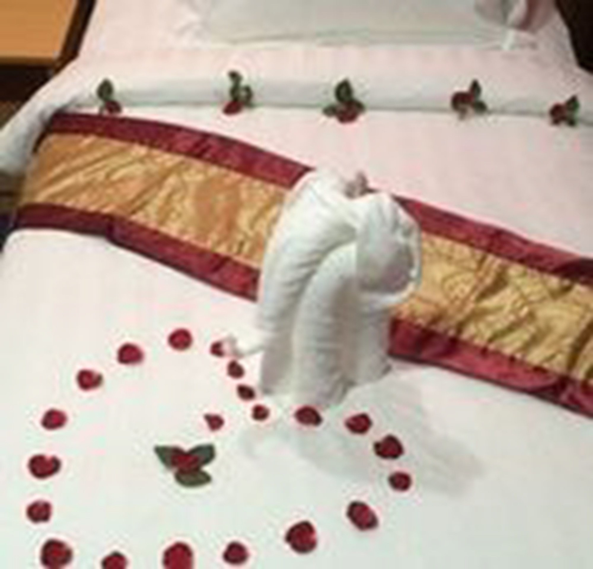 Vacation Hotel