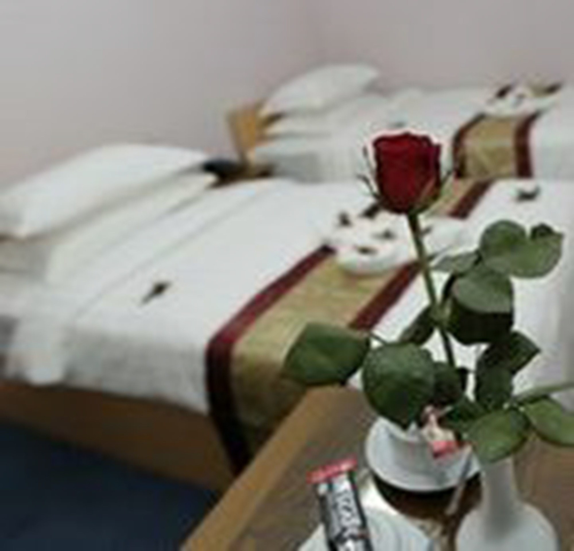 Vacation Hotel