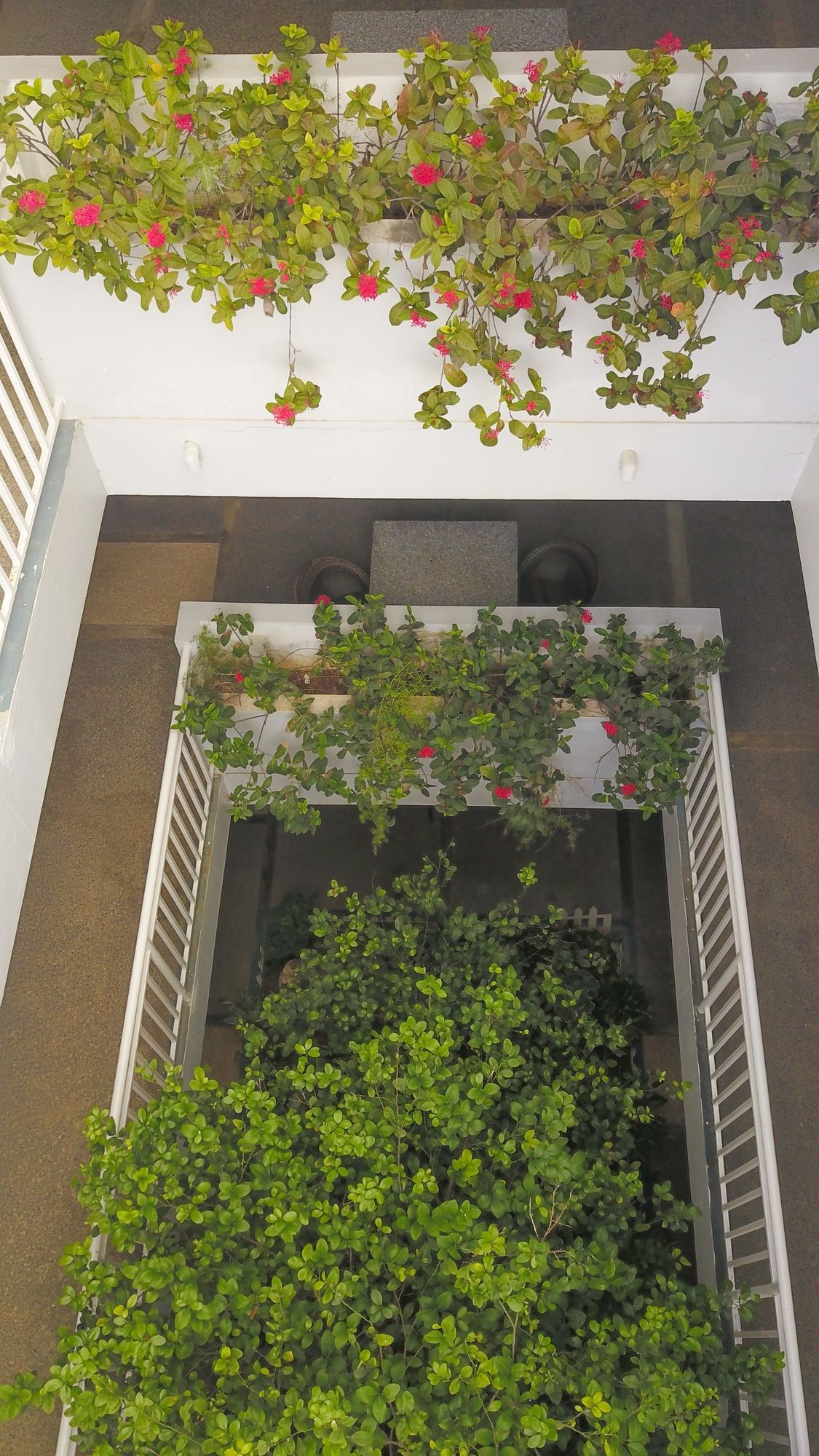 Capital Hotel