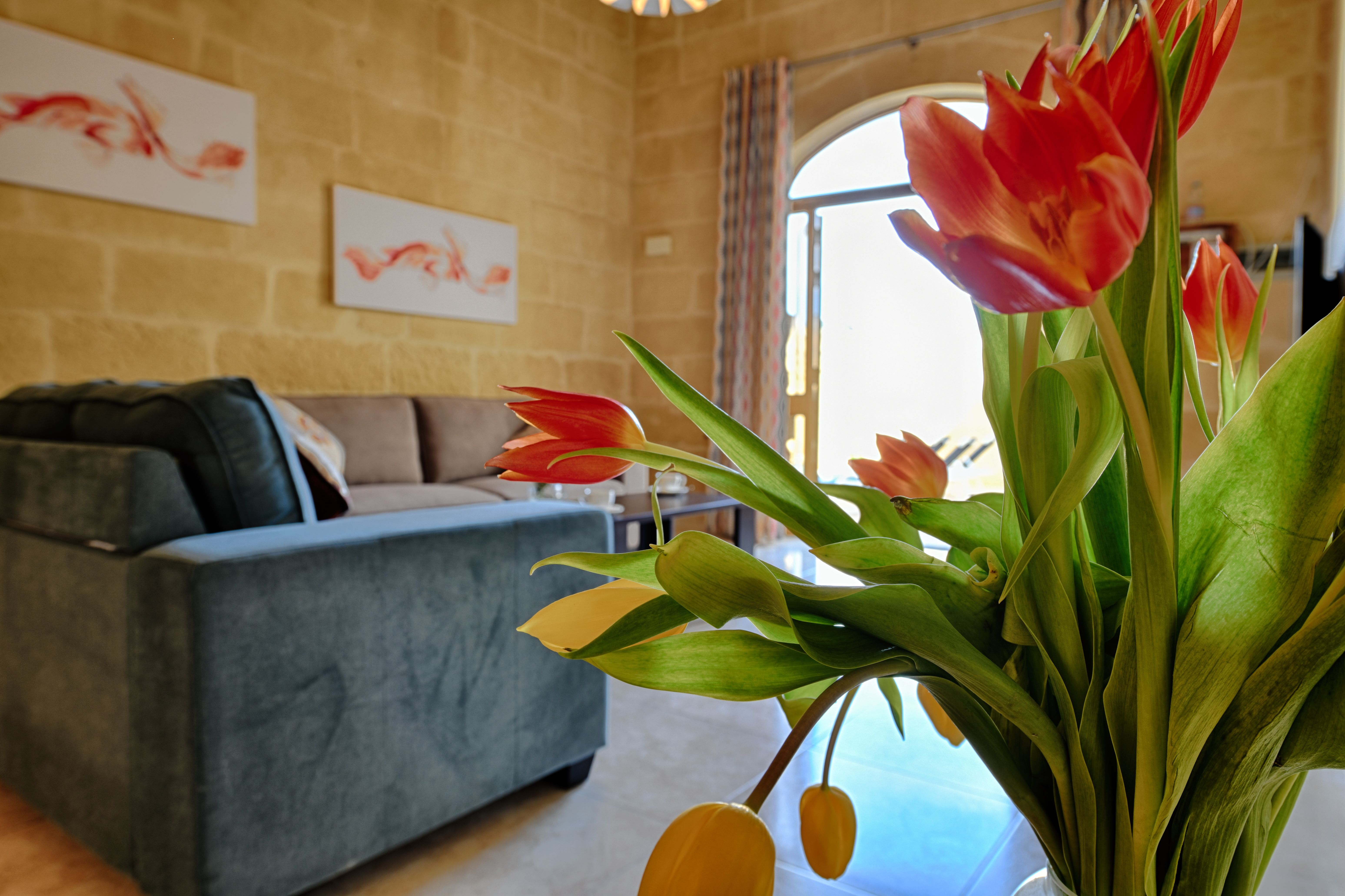 Gozo Inn Savina