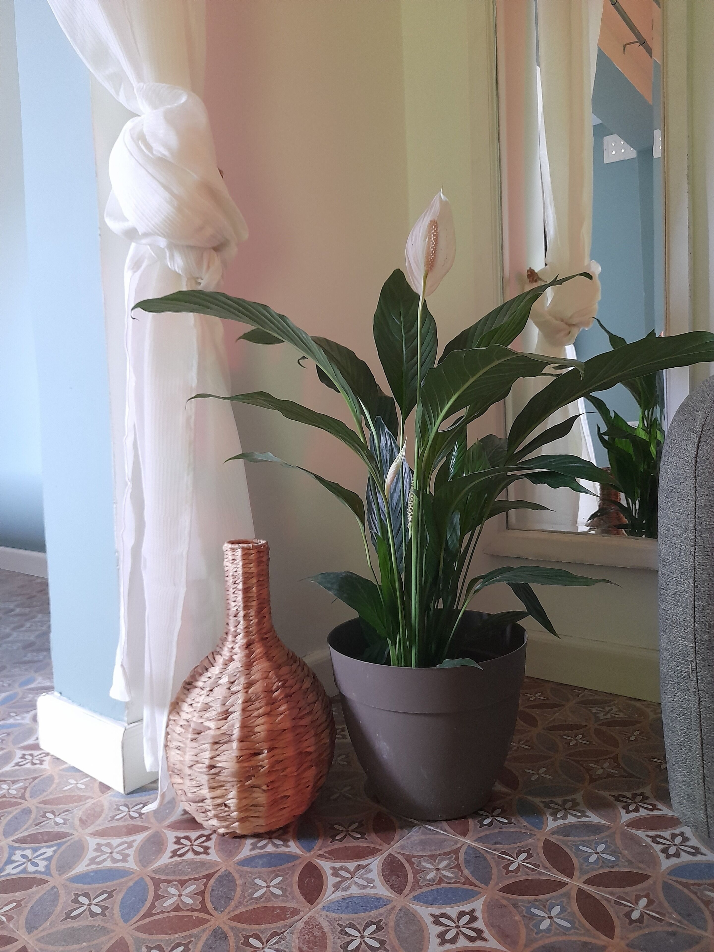 Boho Rooms Sliema
