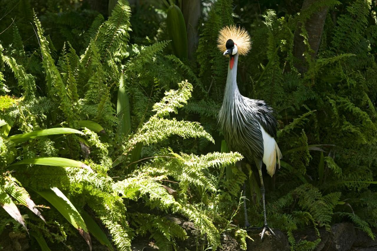 One&Only Le Saint Géran